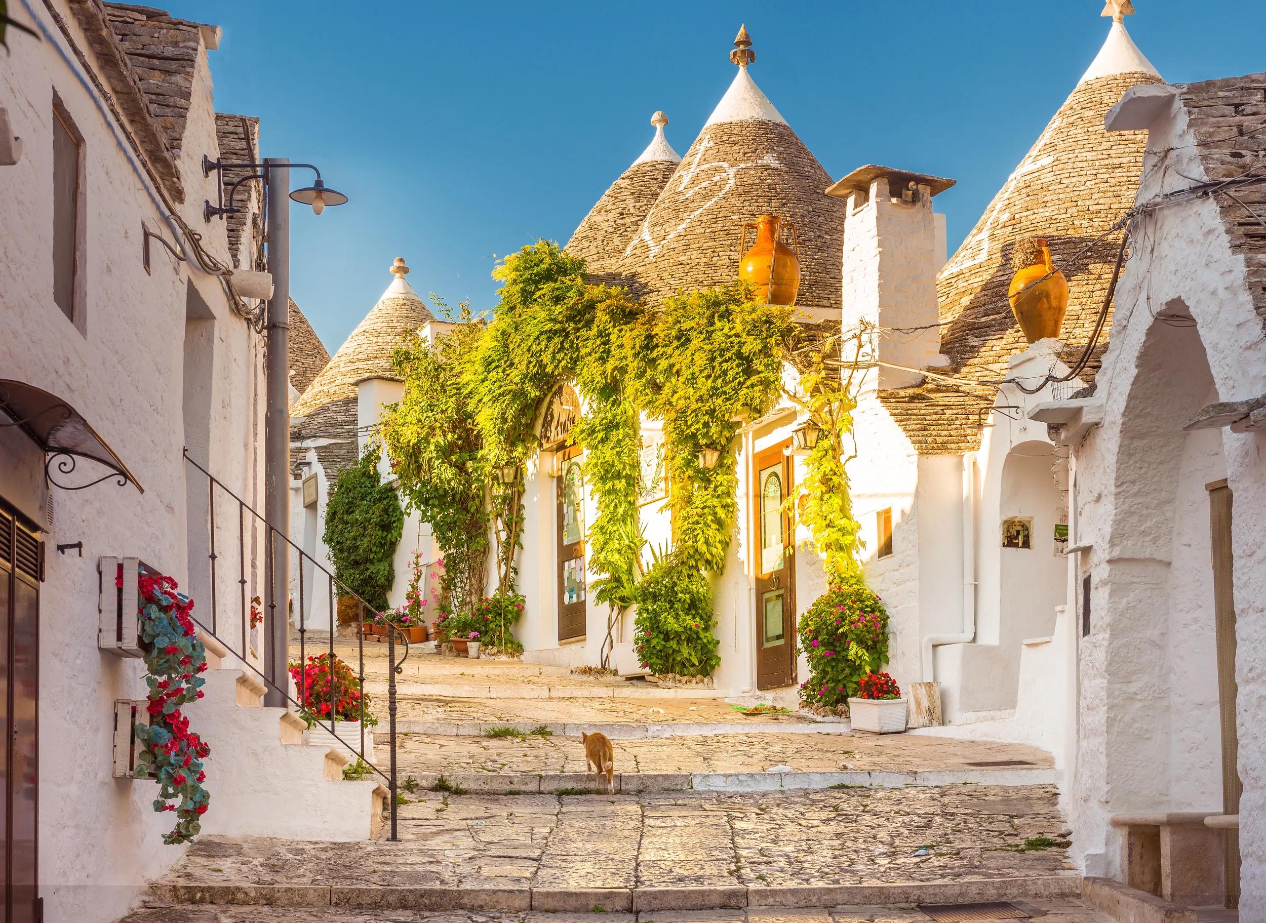 Alberobello Trulli Houses, Puglia, Italy