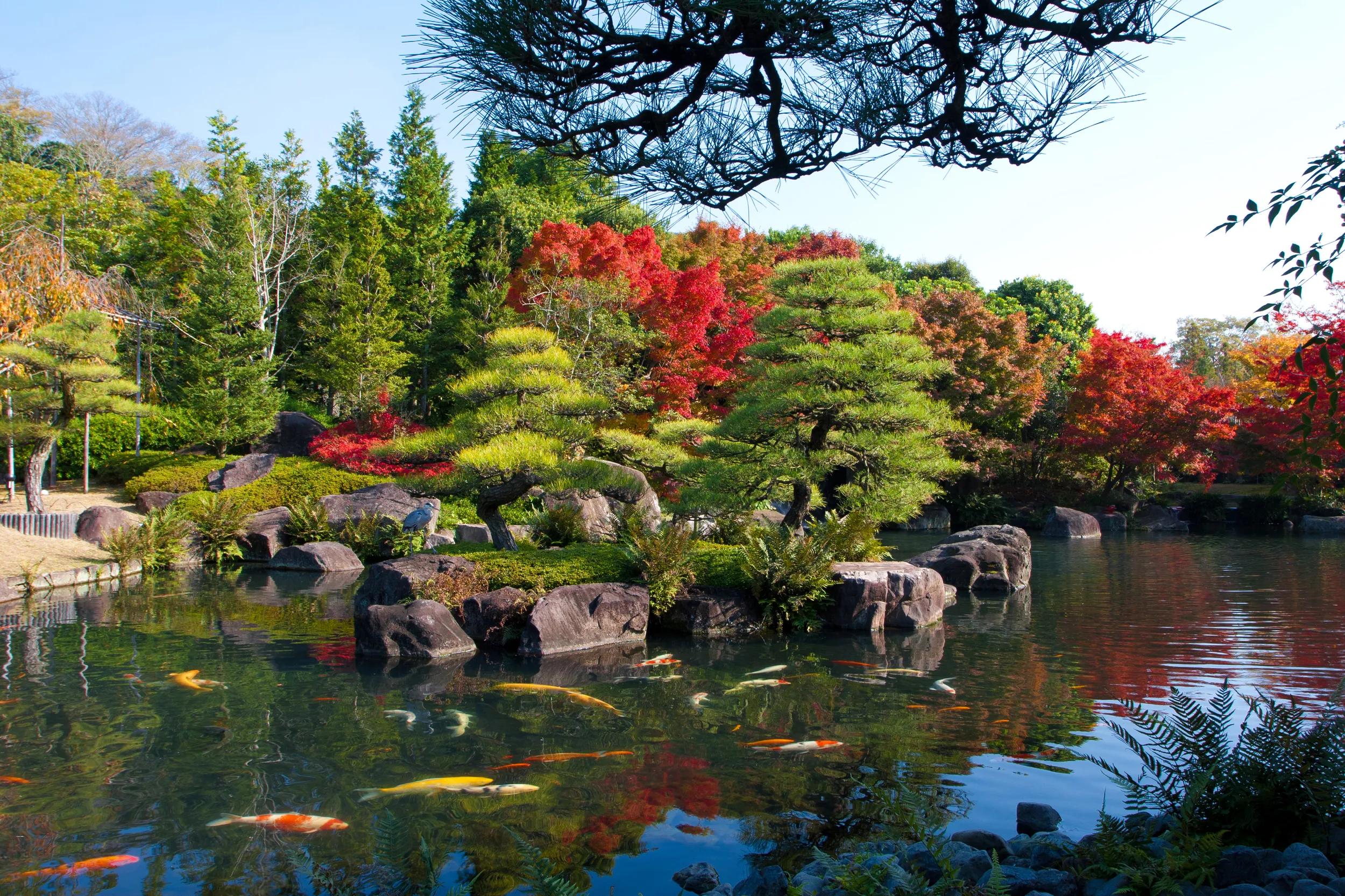 Colorful autumn at the Koko-en outdoor park Osaka Japan