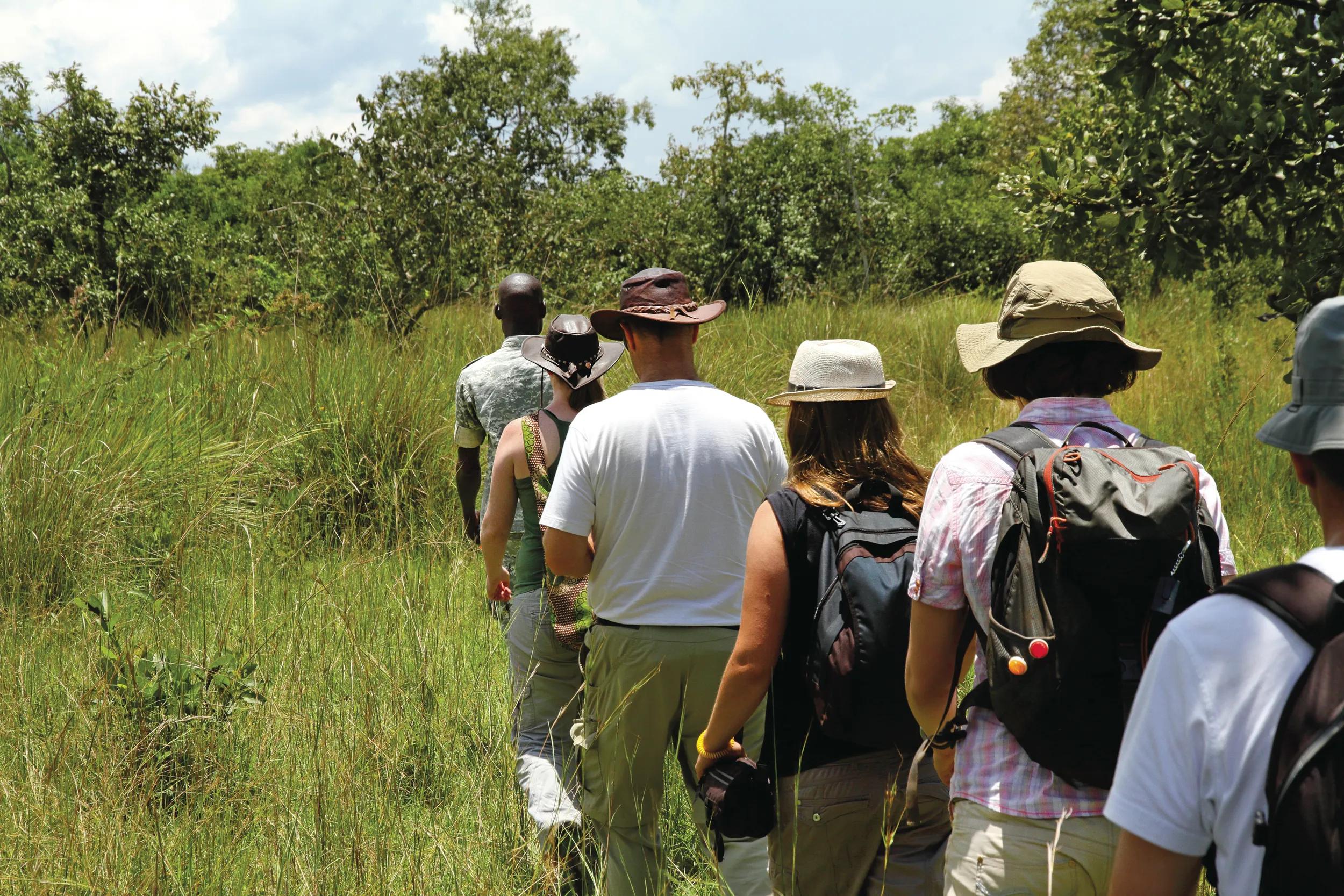 A group of tourists walk single file following a local guide on safari in Ziwa Rhino Sanctuary, Uganda.