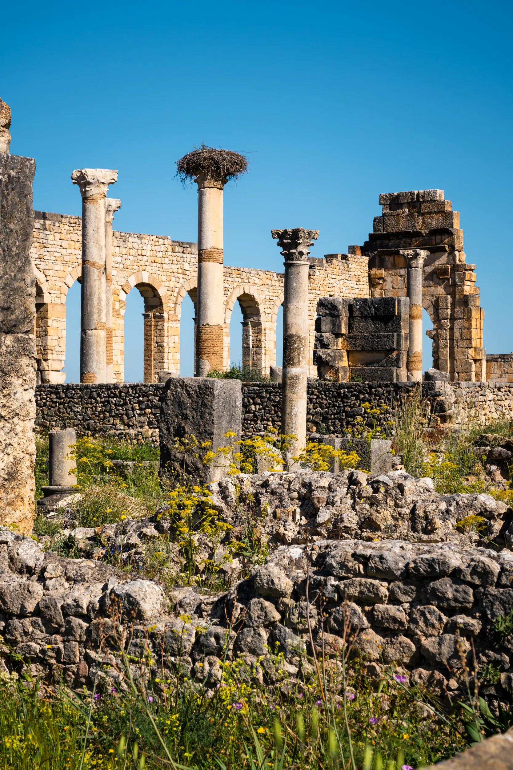 Volubilis roman ruins, Morocco