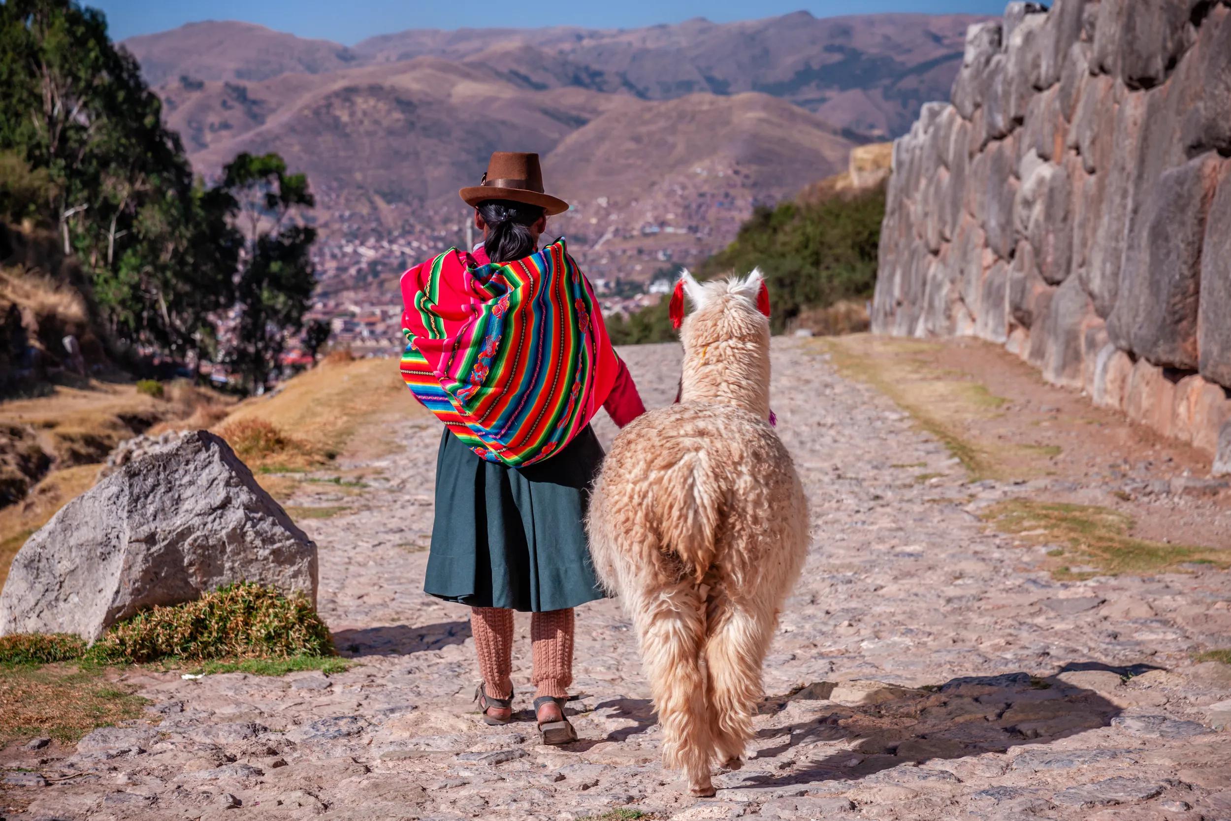 Peruvian woman wearing national clothing walking with llama in Sacsayhuamán near Cuzco, Peru.