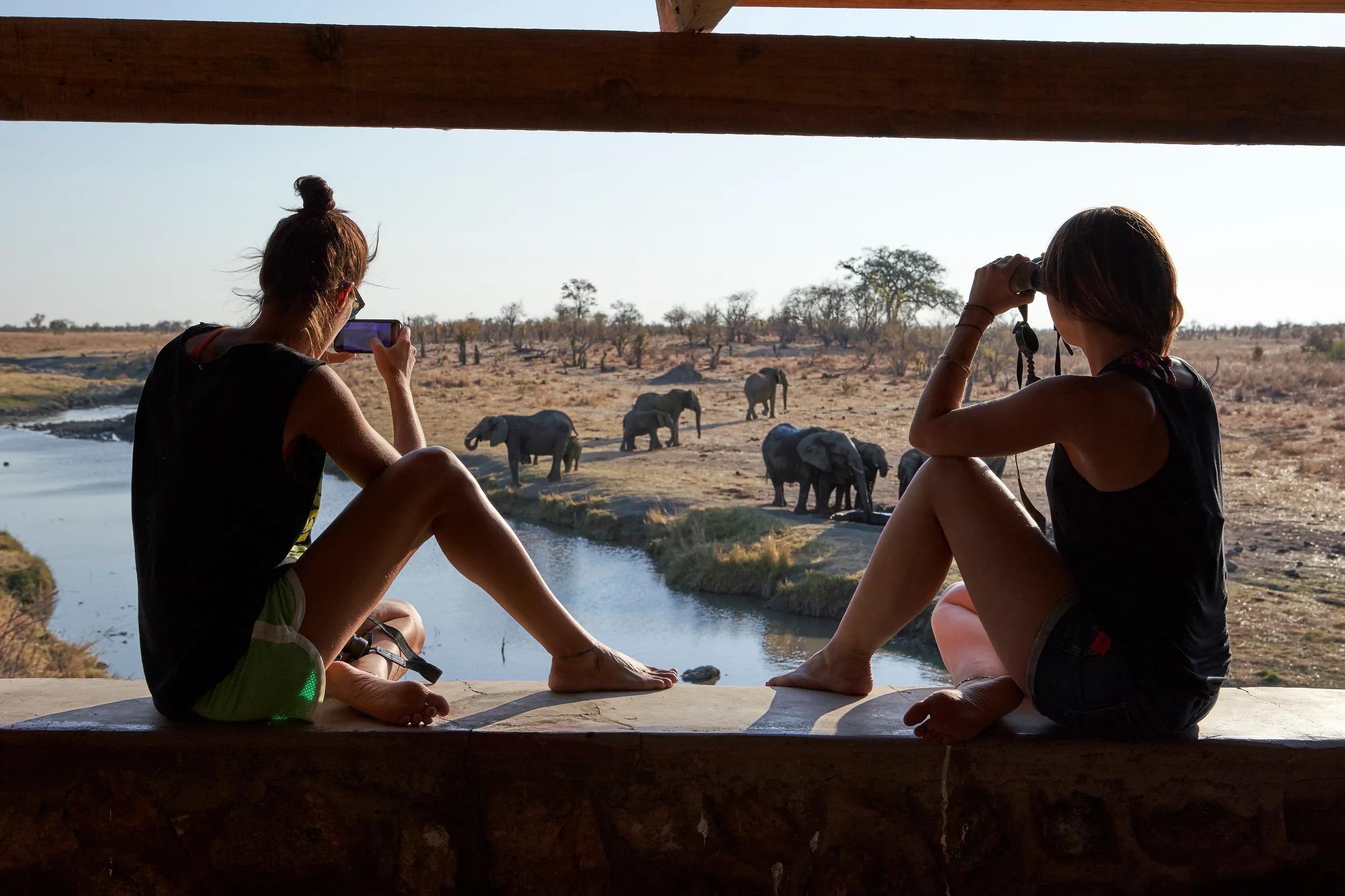 Women watching and taking photos of a herd of elephants in the river from a viewpoint, Hwange National Park, Zimbabwe.