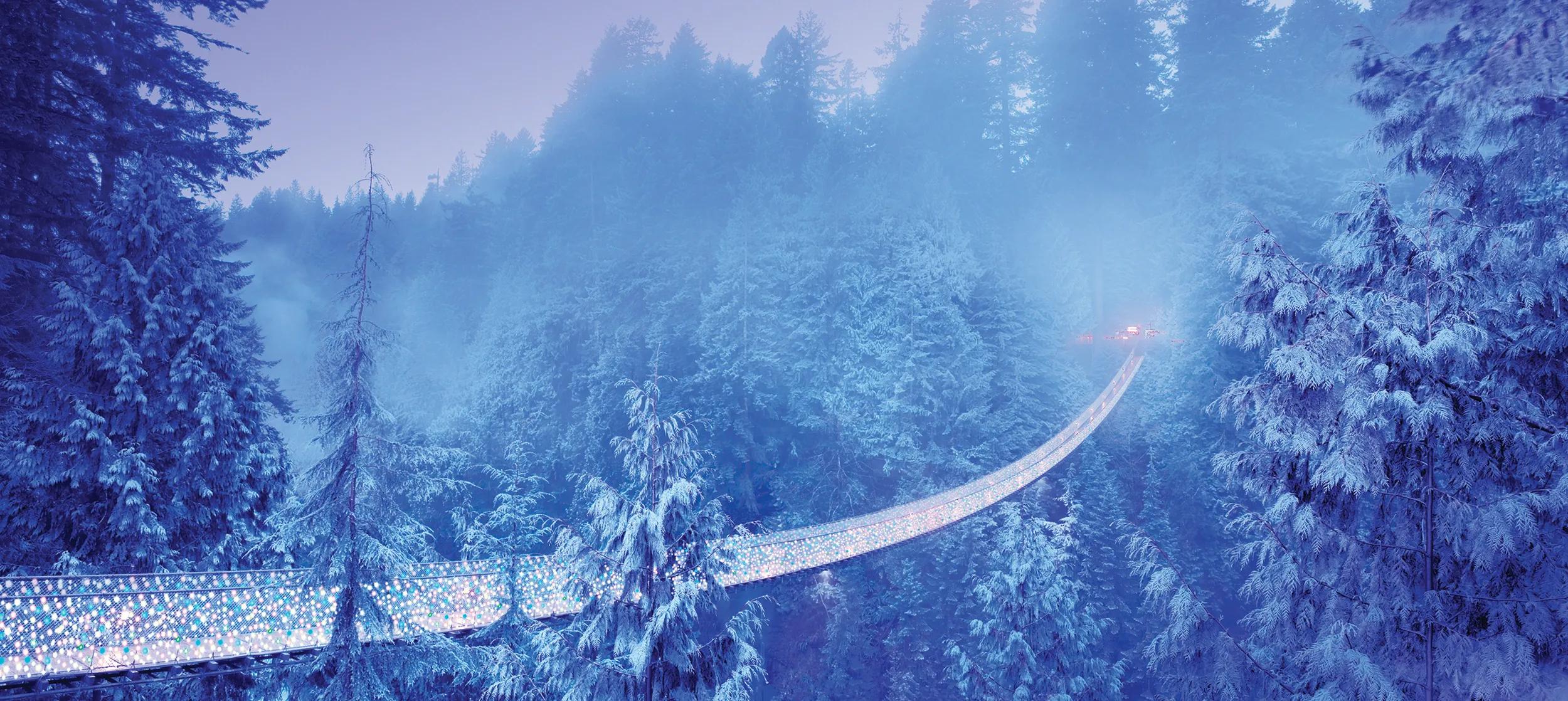 Capilano Suspension Bridge with Christmas Lights. North Vancouver, British Columbia, Canada