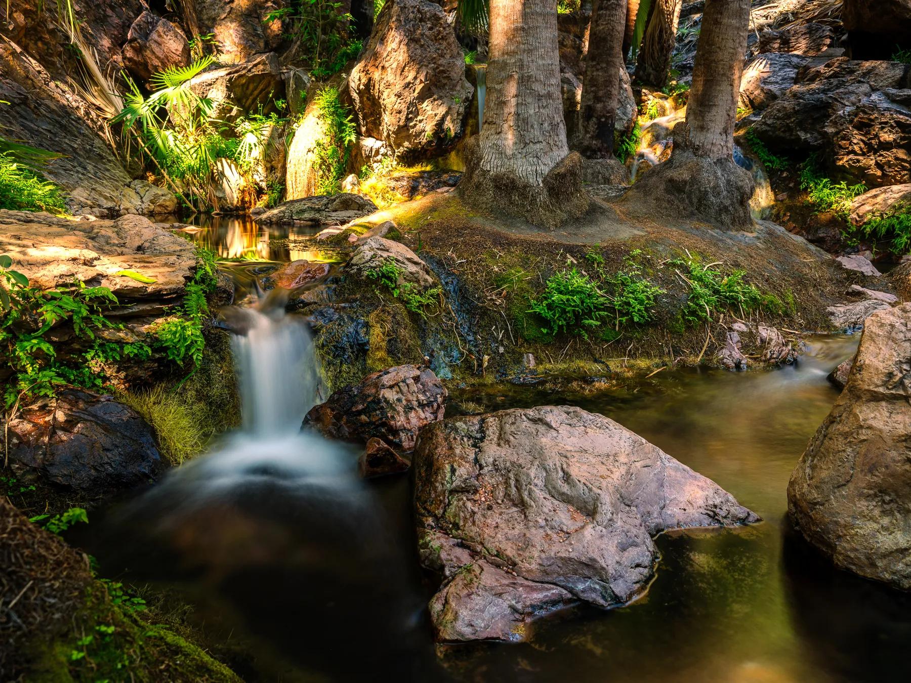 Zedebee Springs, Emma Gorge, El Questro Homestead, Western Australia.