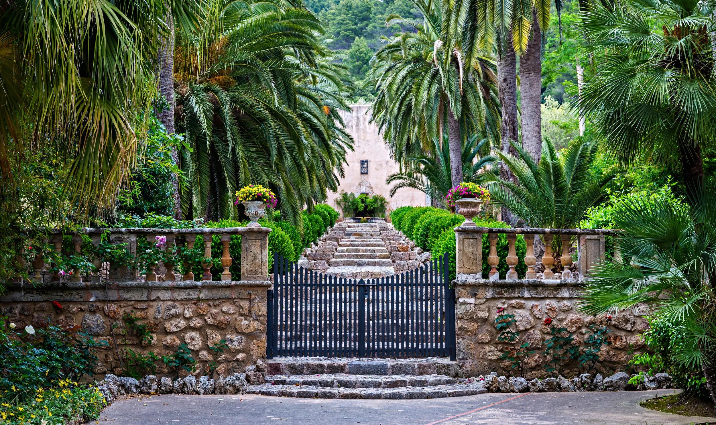 Alley in the Alfabia Gardens , Mallorca, Balearic Islands, Spain