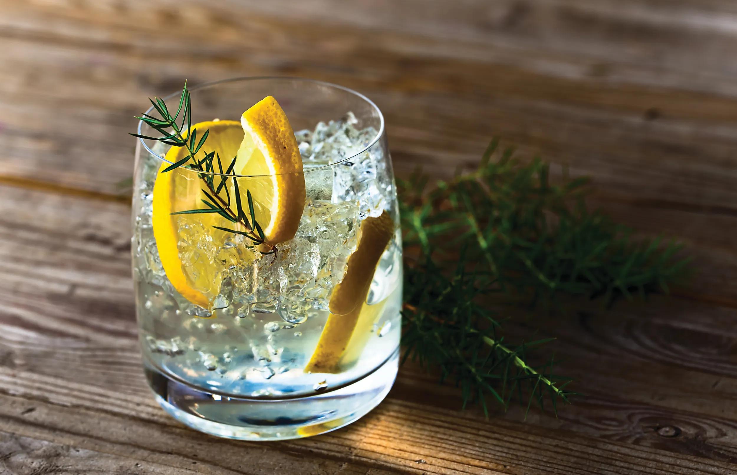 alcoholic drink with lemon and ice on a old wooden table
