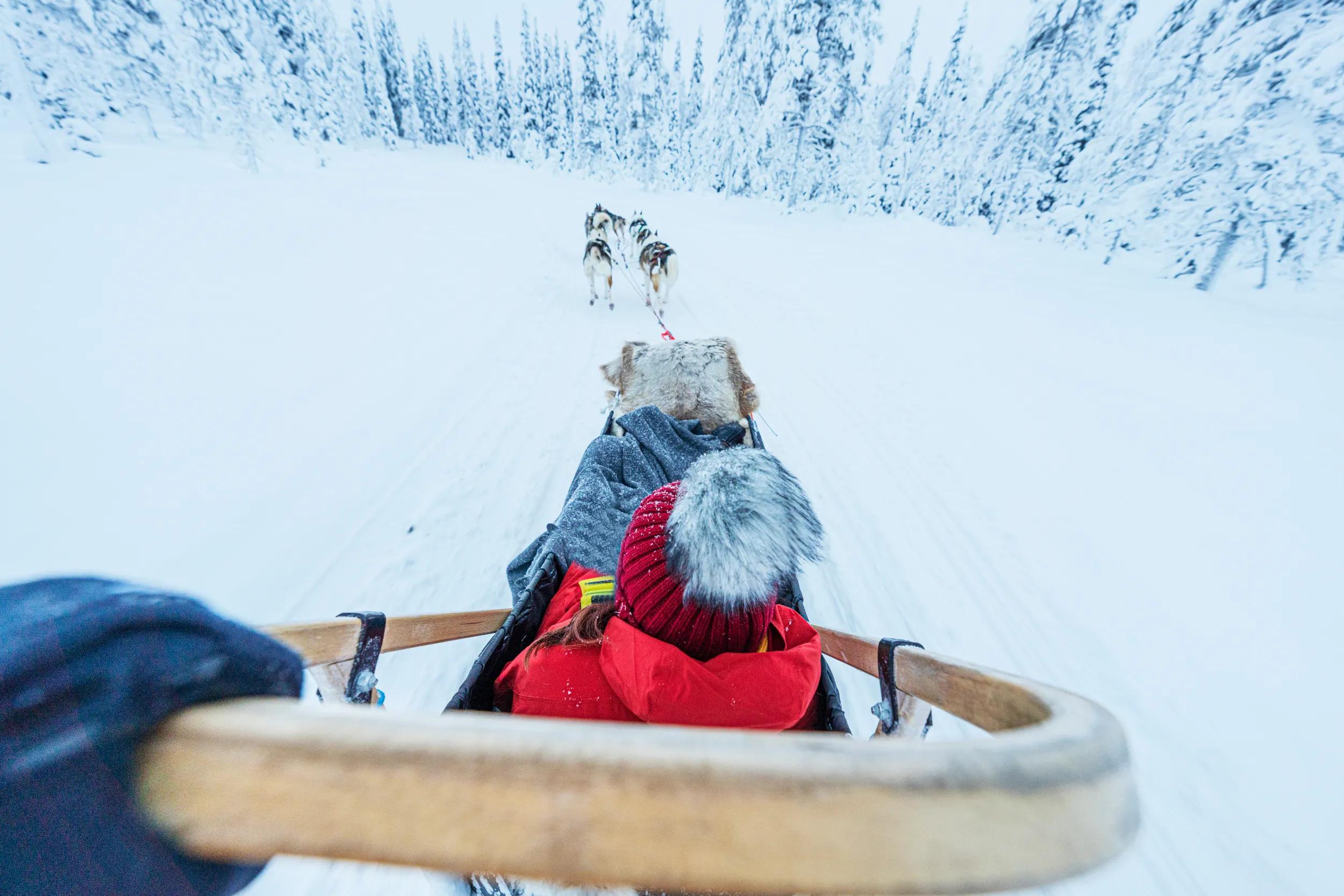Personal perspective of person driving a sled dog for tourist in the snowy forest, Lapland, Finland
