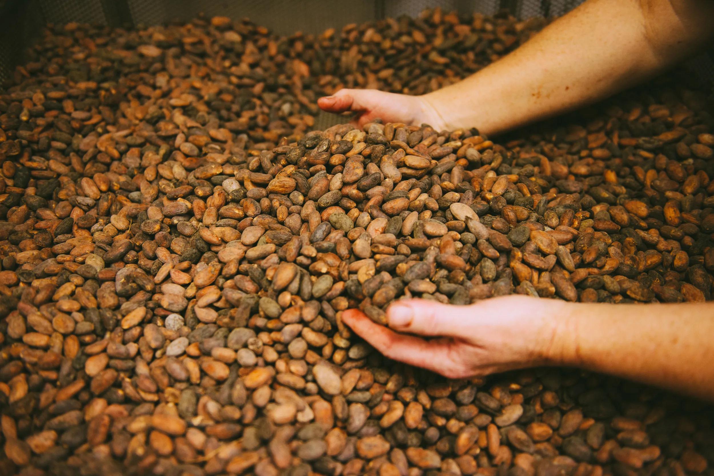 *** Can only be used to promote Gabriels Chocolates