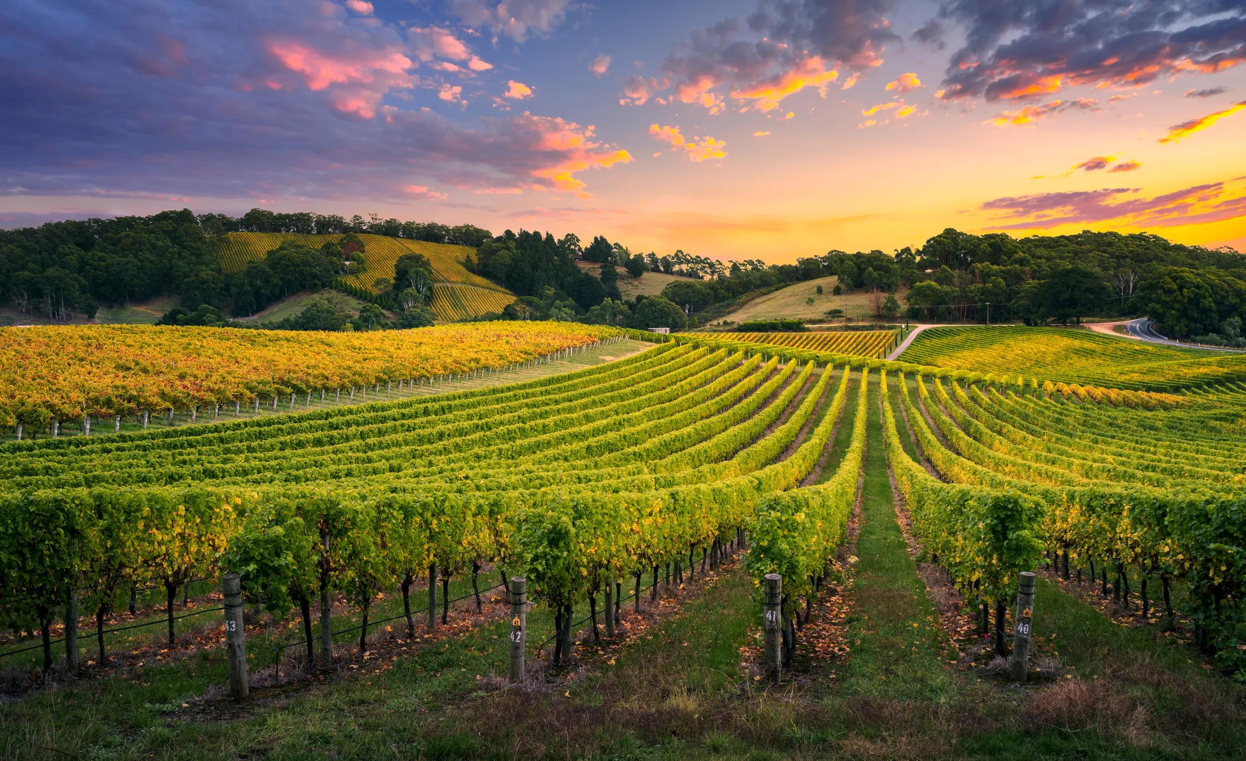 t-au-sa-adelaide-hills-winery-sunset-978754758-g-rf