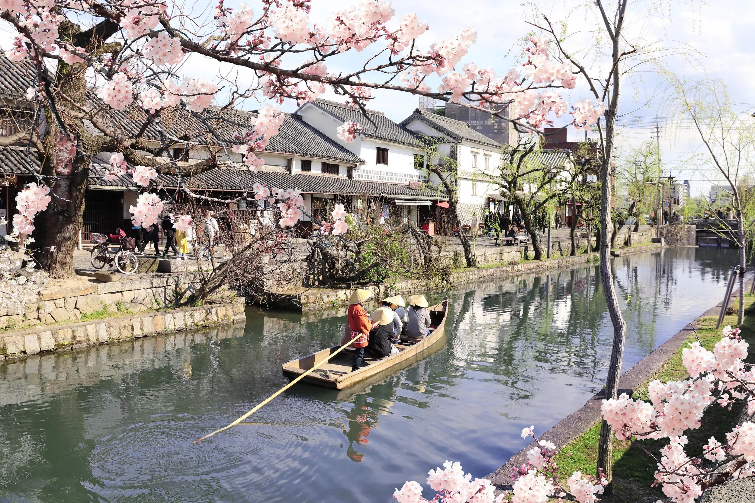 People in old-fashioned boat and sakura flowers, Kurashiki canal in Bikan district, Kurashiki city, Japan.