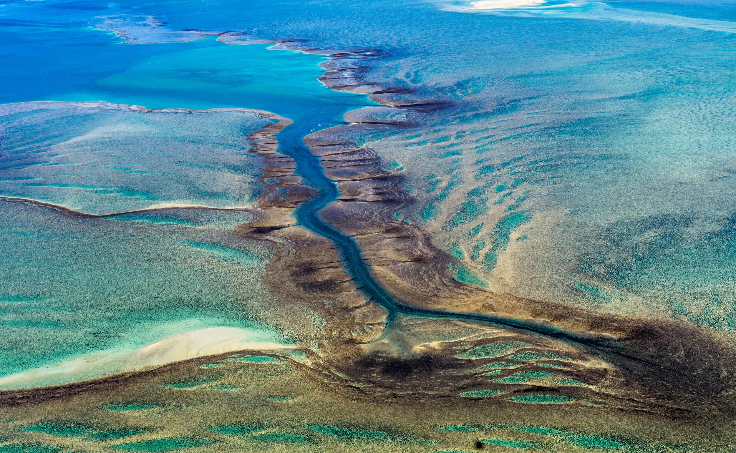 Aerial view of Montgomery Reef, Western Australia