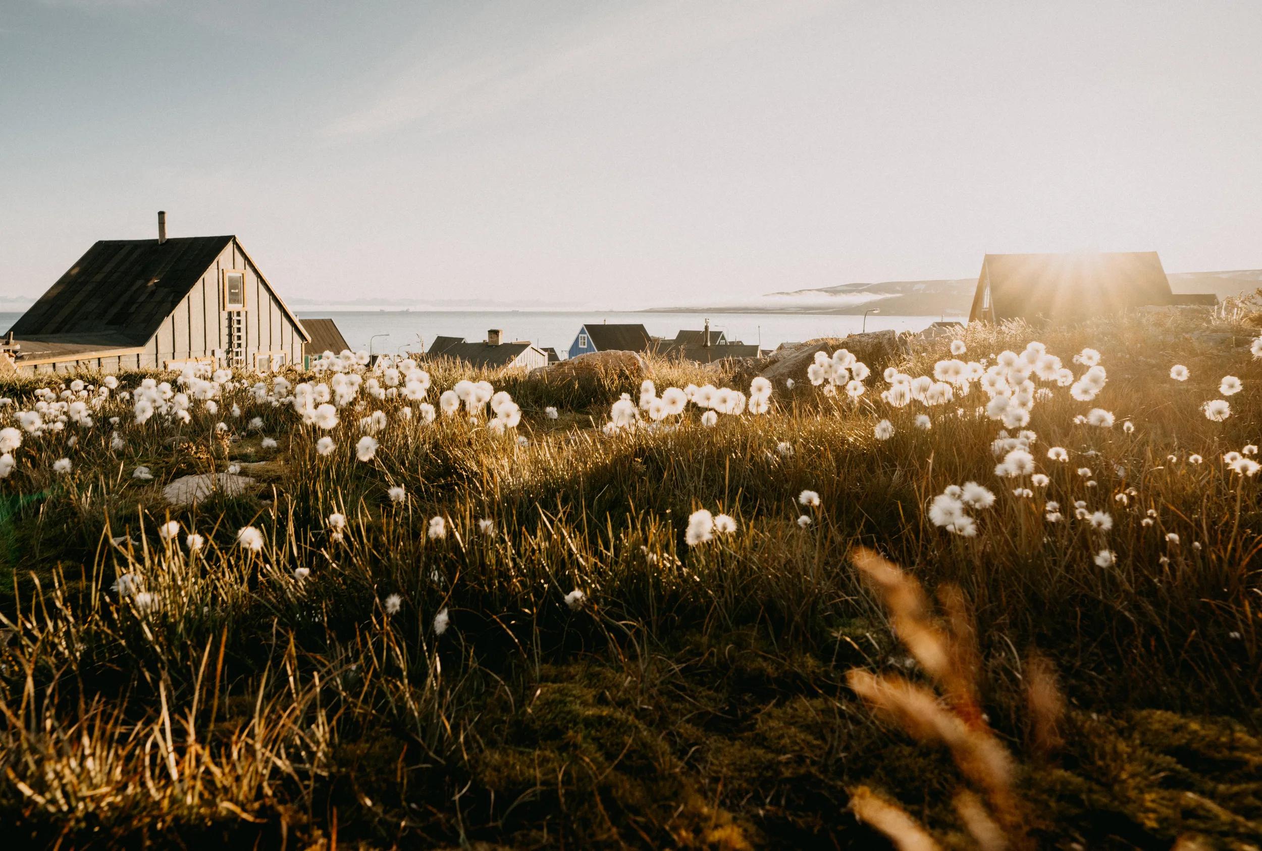 a-eu-greenland-ittoqqortoormiit-arctic-town-647218880-as