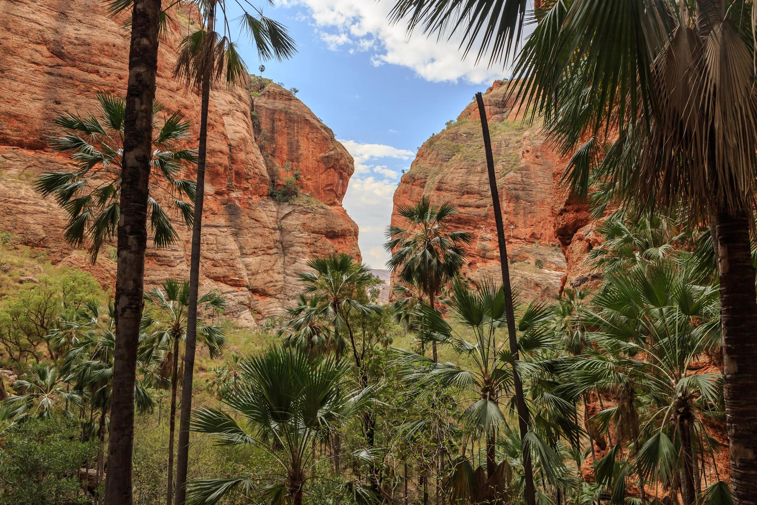 Purnululu National Park, Western Australia