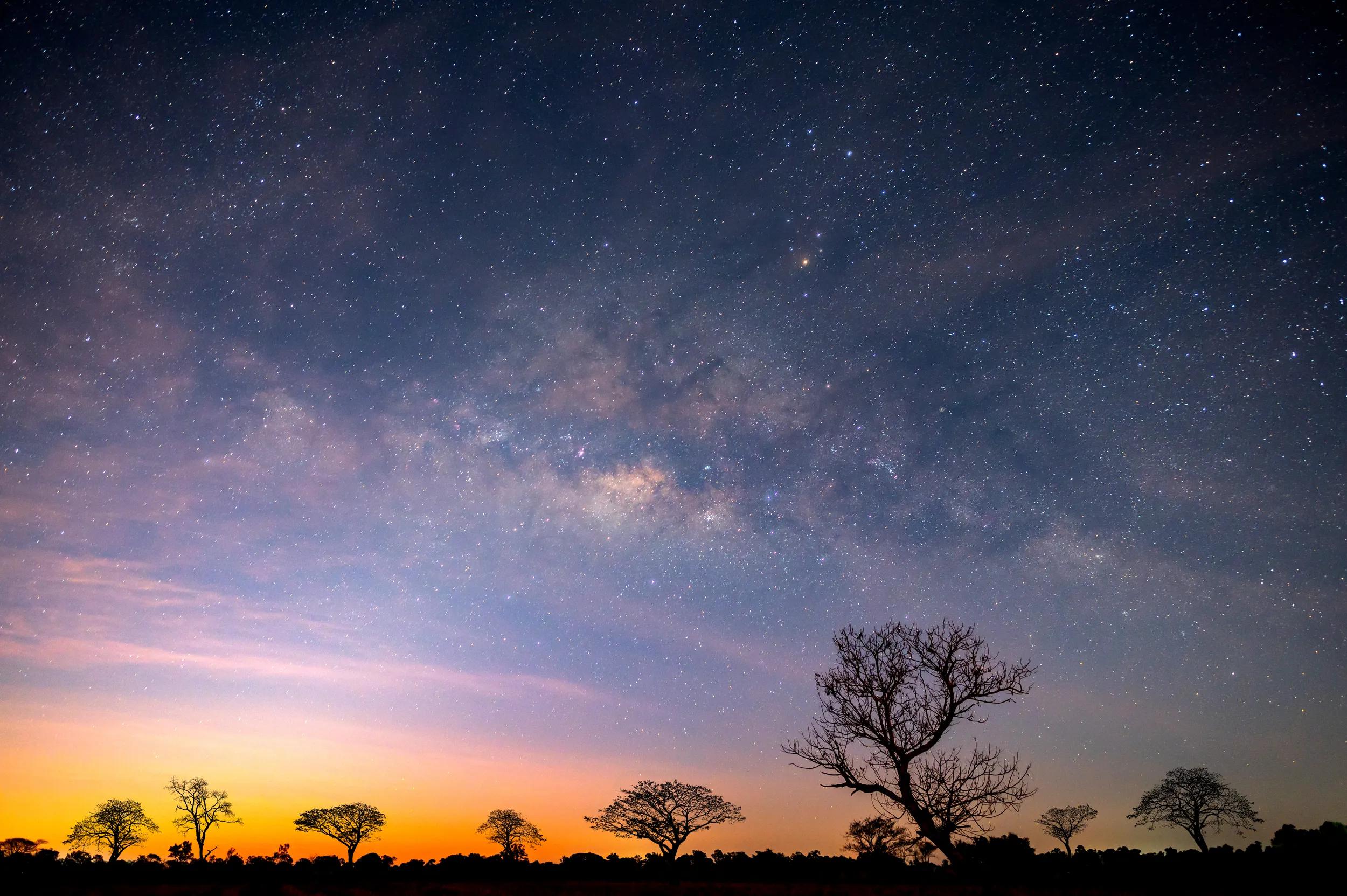Milky way, silhouette trees at sunrise, Maasai Mara National Reserve, Kenya, Africa.