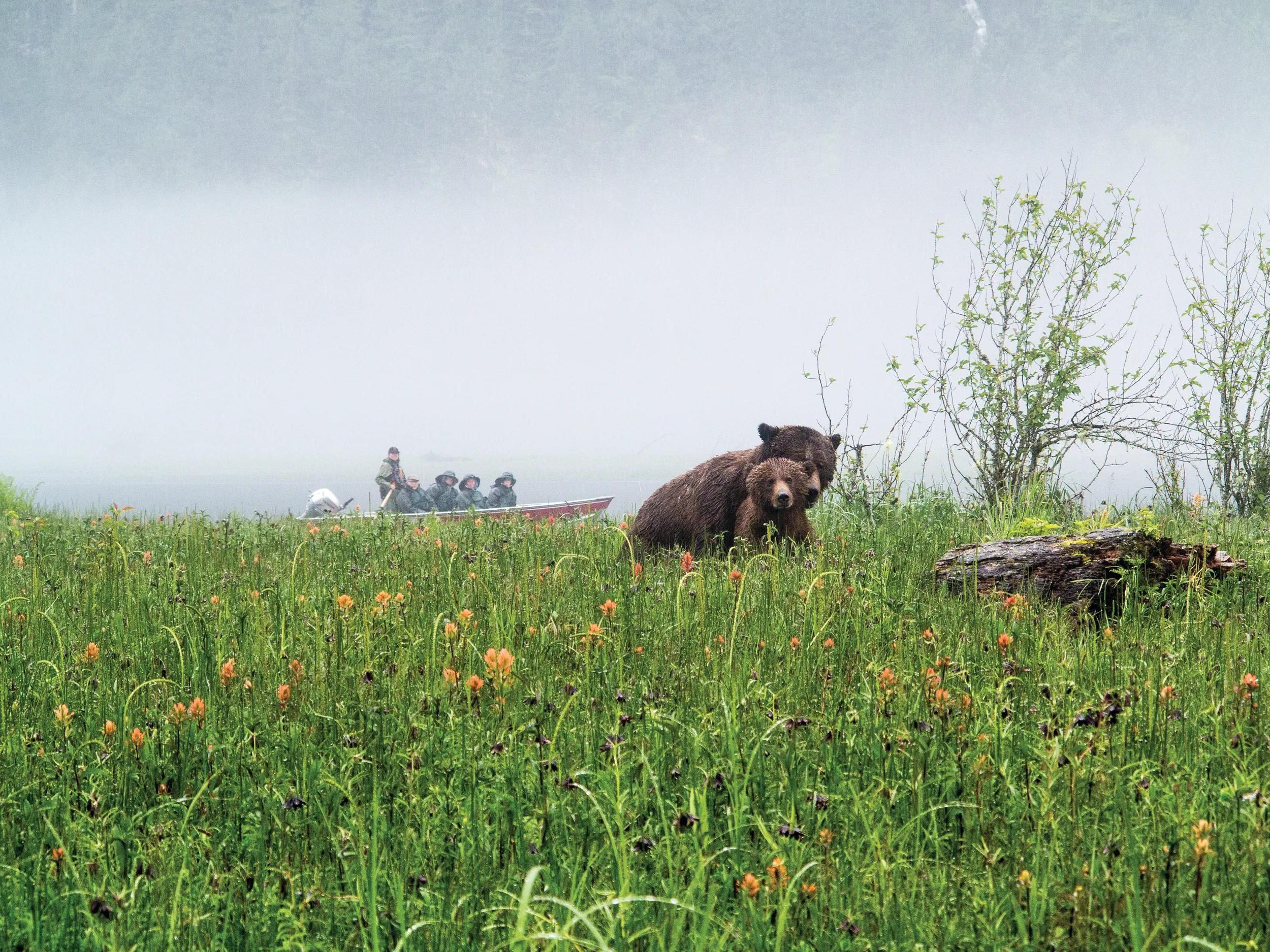 PLEASE NOTE: Only for use in conjunction with Great Bear Lodge.