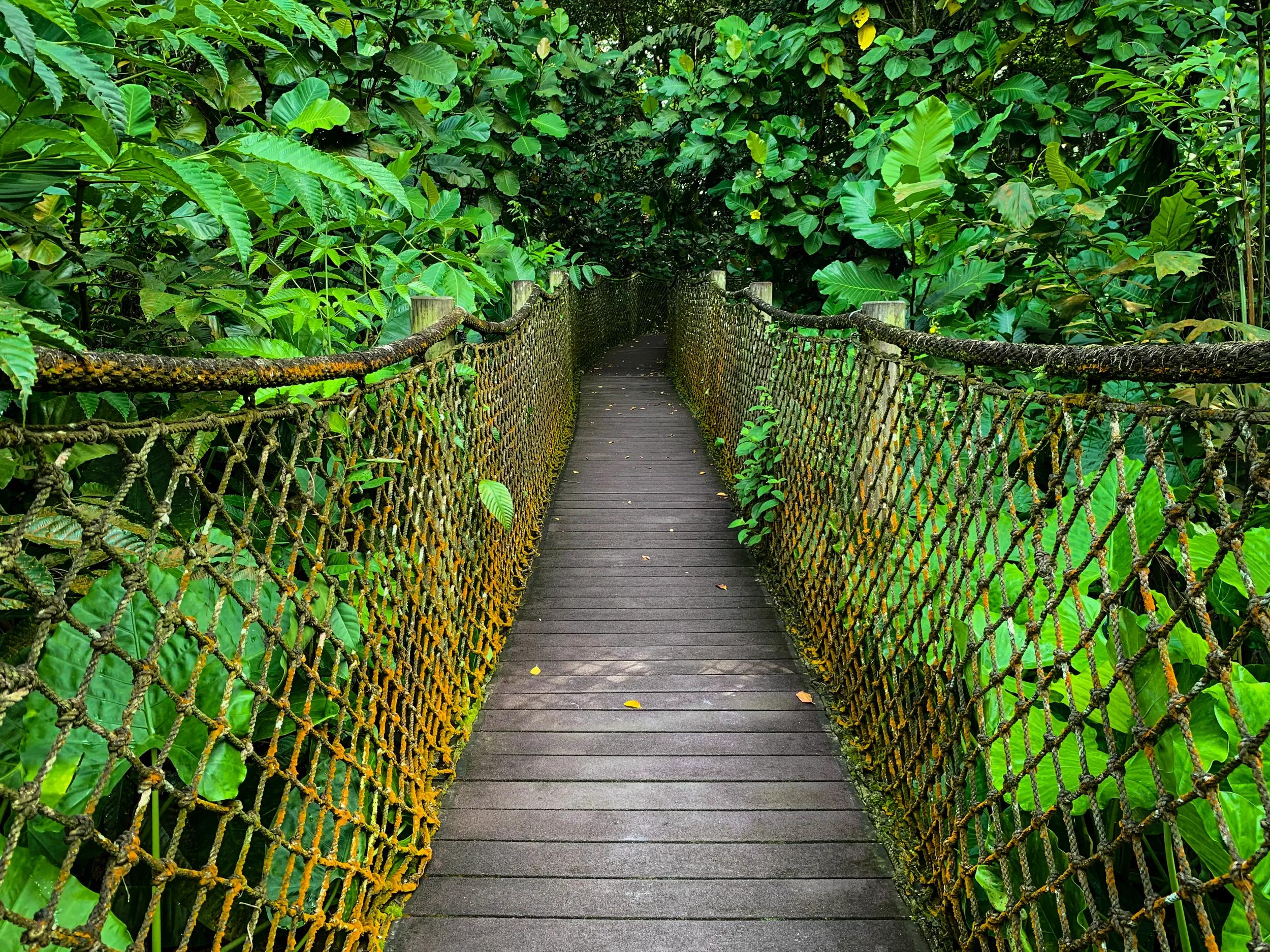 The Sungei Buloh Wetland Reserve is a nature reserve in the northwest area of Singapore. It is the first wetlands reserve to be gazetted in Singapore, and its global importance as a stop-over point for migratory birds was recognised by the inclusion of the reserve into the East Asian Australasian Shorebird Site Network. The reserve, with an area of 130 hectares, was listed as an ASEAN Heritage Park in 2003.