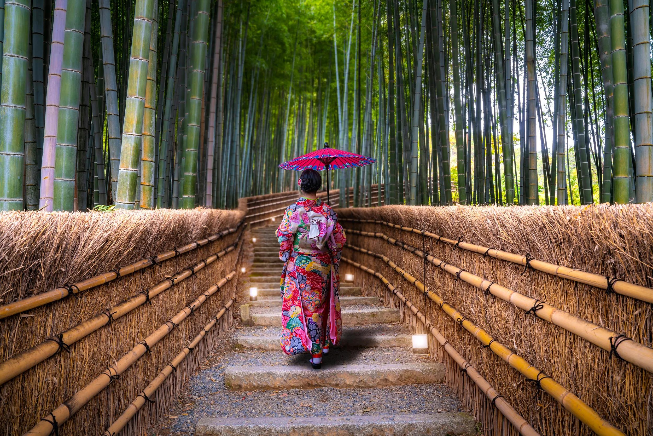 Woman wearing Japanese traditional kimono with red umbrella at Bamboo Forest in Arashiyama, Kyoto, Japan.