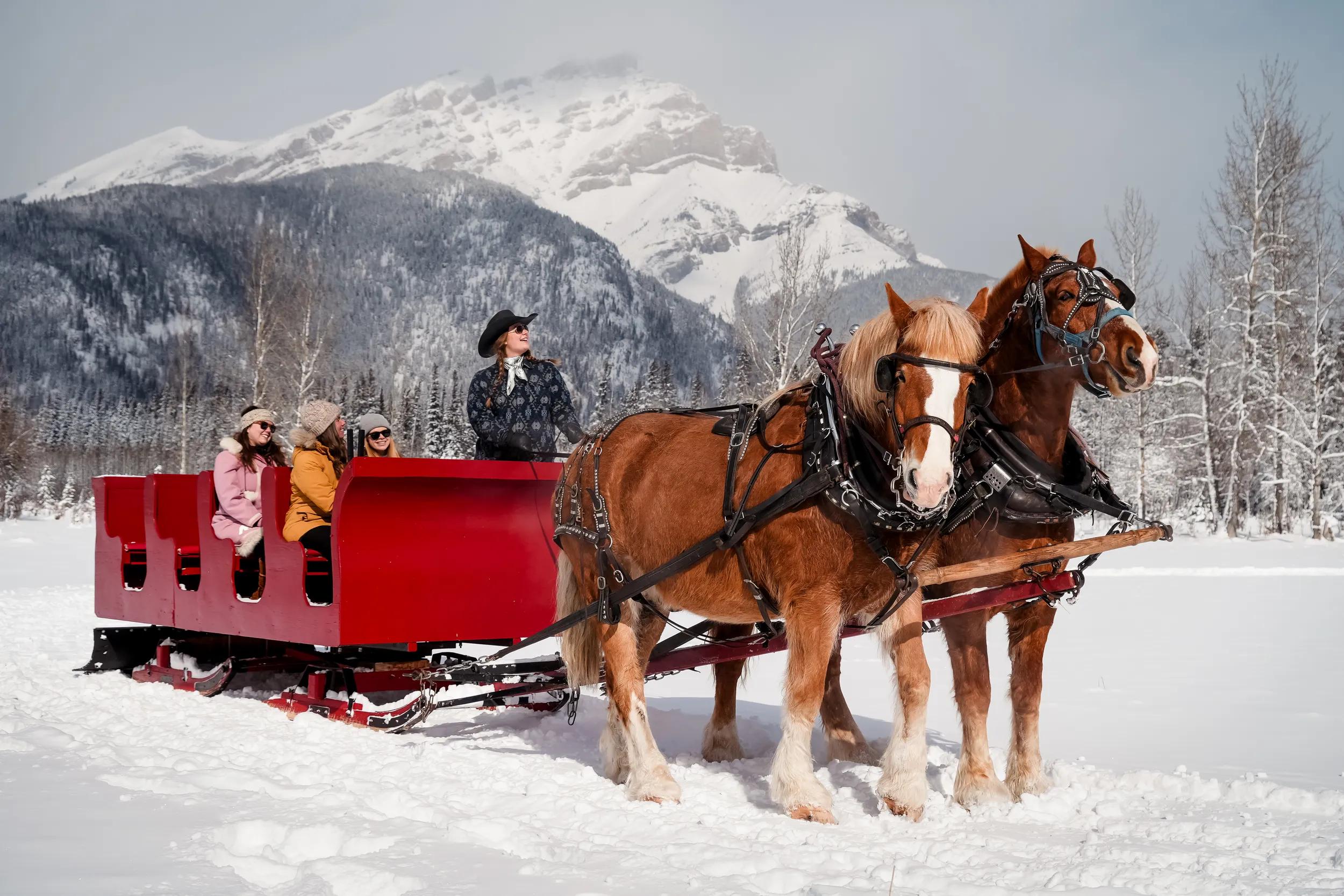 People experiencing Banff Trail Riders Sleigh Ride with two horses in the snow, Banff, Canada.