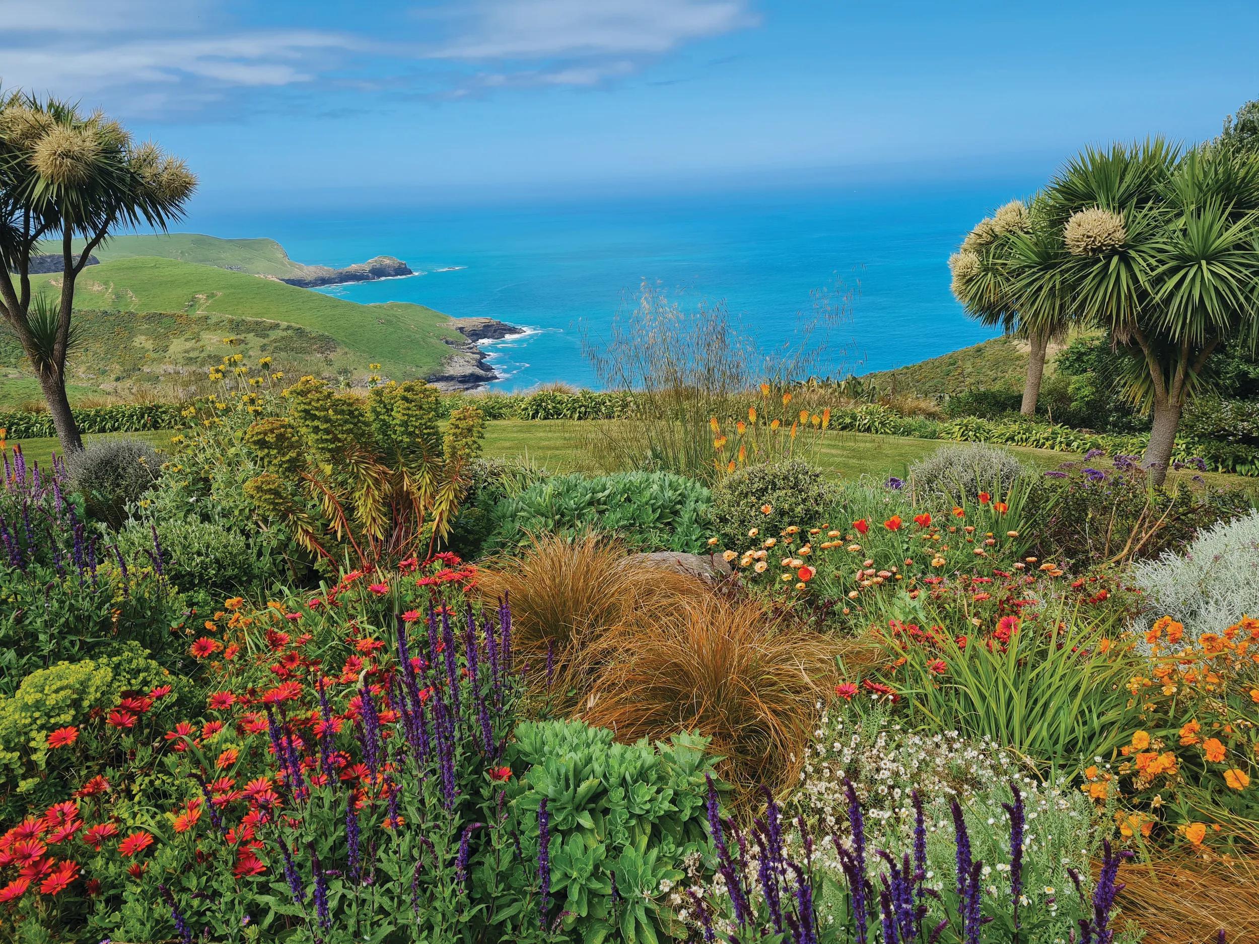 Supplied by Sarah Fitzgerald