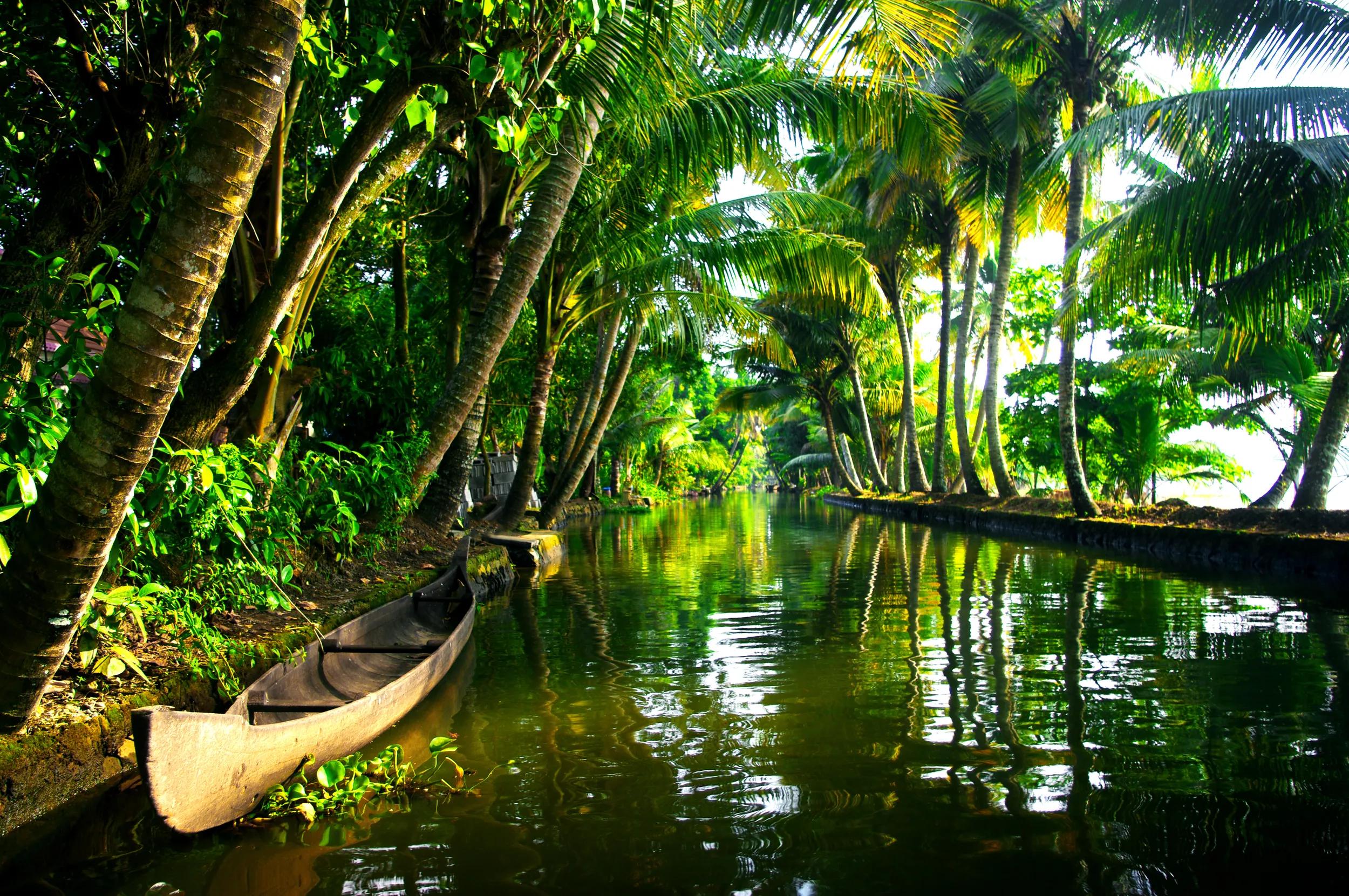 t-as-india-kerala-allepey-kerala-backwaters-534757407-g-rf