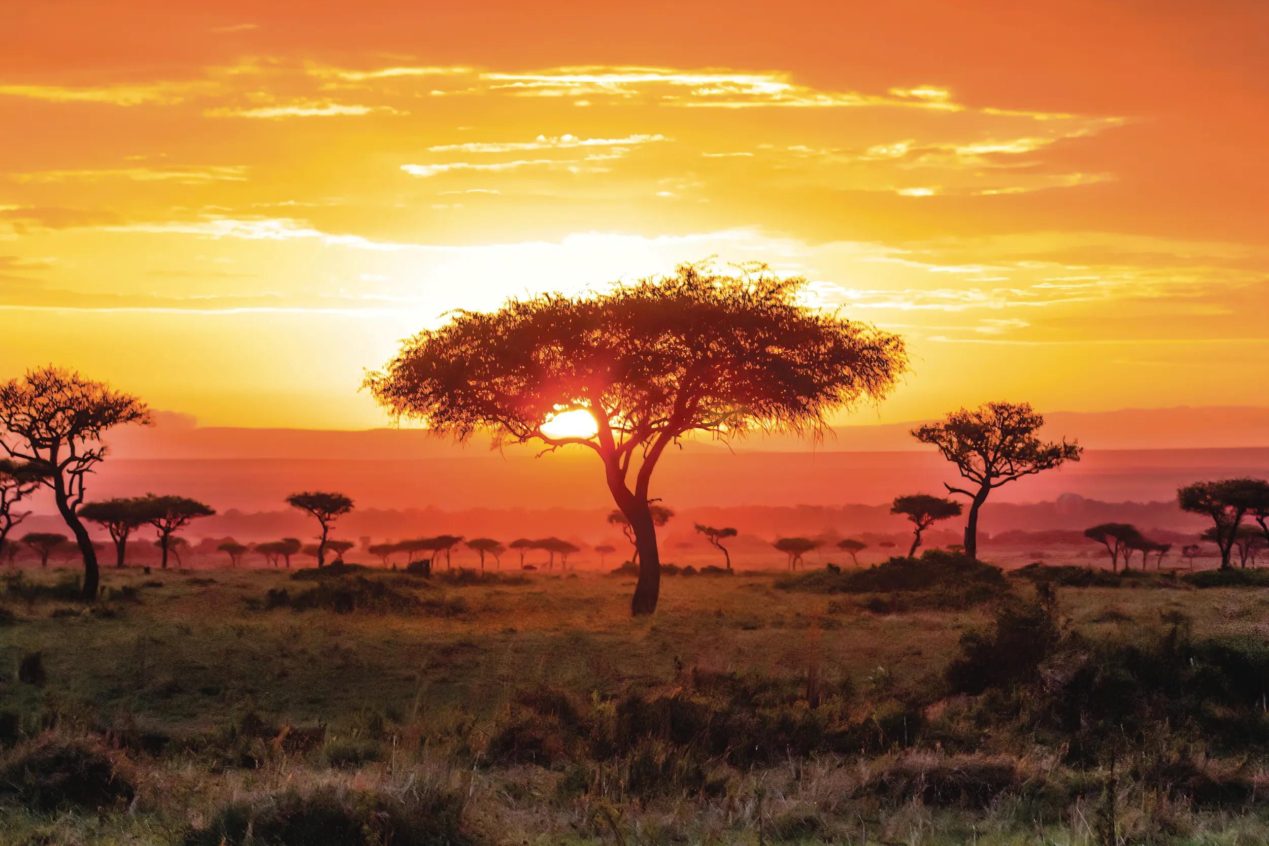Maasai Mara National Reserve sunset