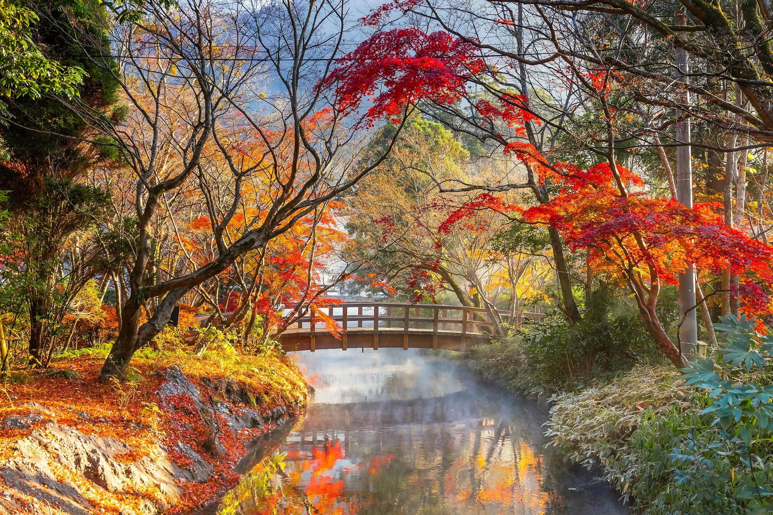 Autumn Scenery in a Park in the Famous Yufuin Resort Town