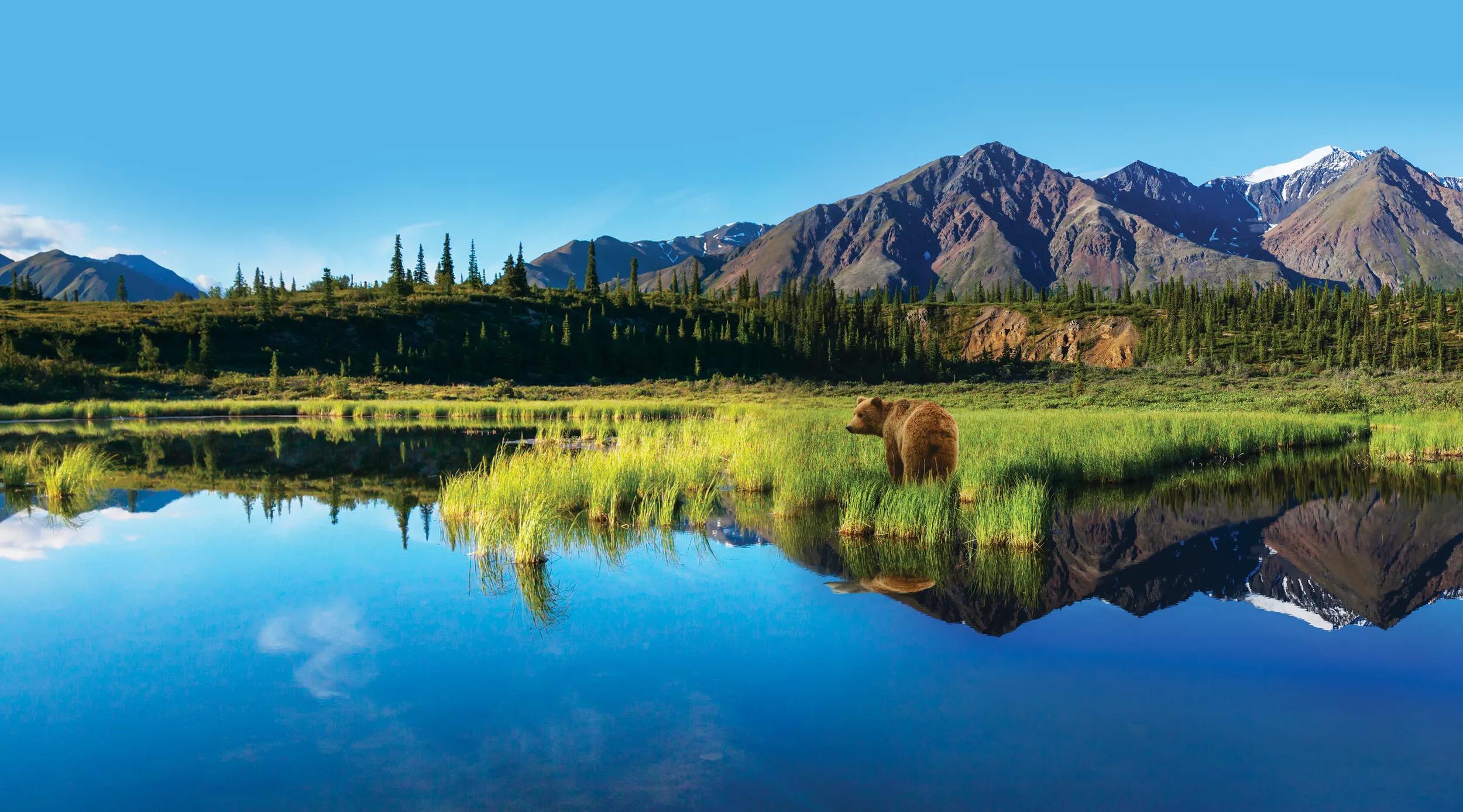 Two stock library images combined.
Both from Shutterstock.