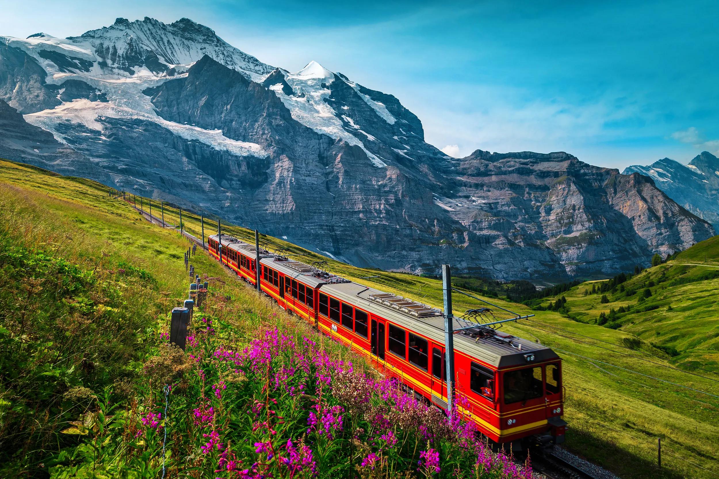 Cogwheel railway with electric red tourist train. Snowy Jungfrau mountains with glaciers, flowery fields and red passenger train, Kleine Scheidegg, Grindelwald, Bernese Oberland, Switzerland, Europe