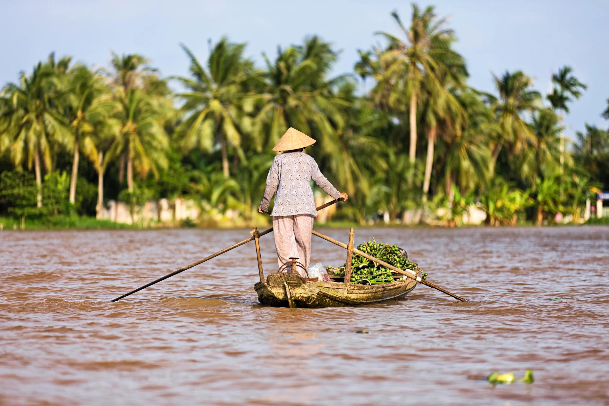 "Vietnamese fruits seller - woman rowing boat in the Mekong river delta & selling fruits, Vietnam."