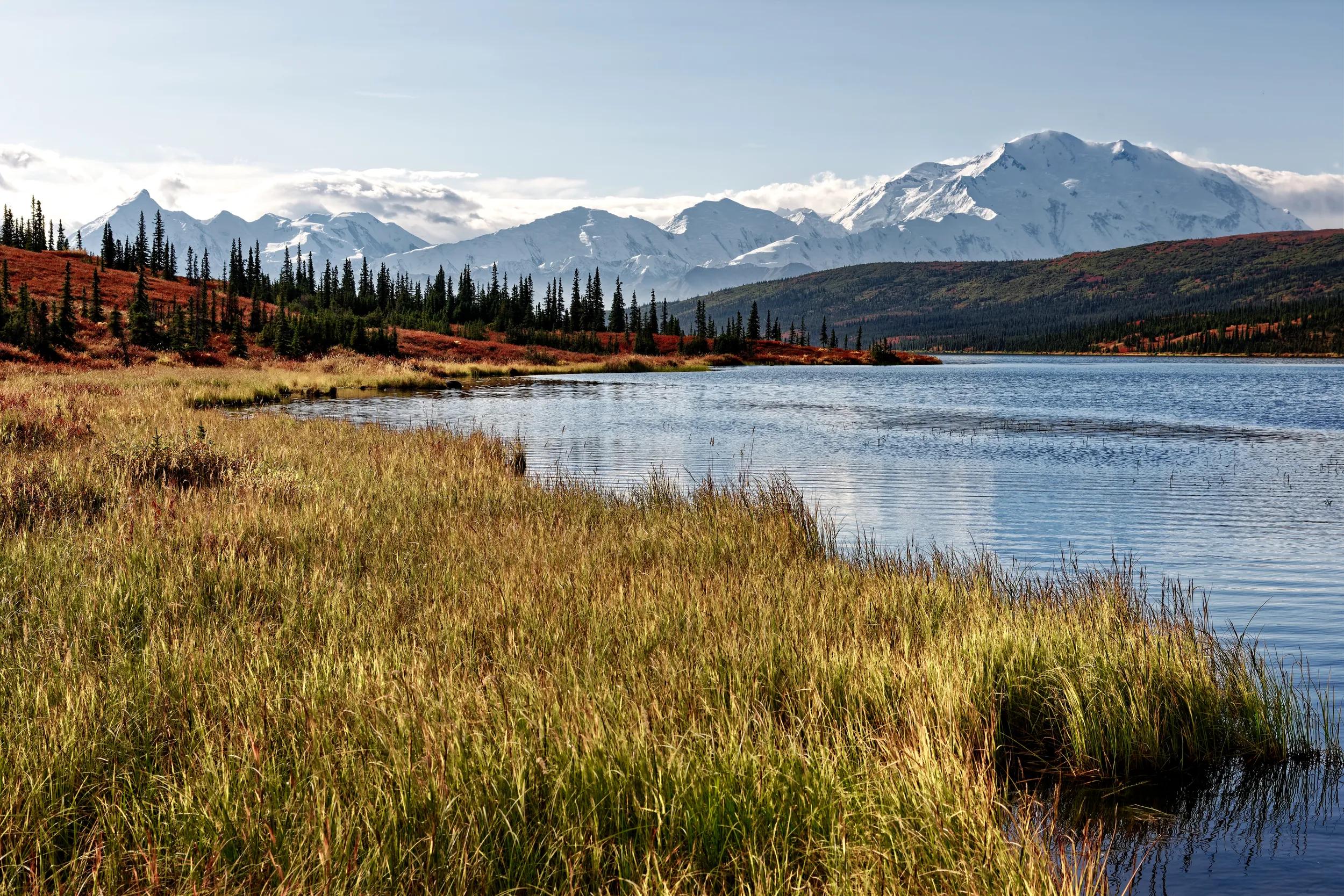 I've Read that Memories Last a Lifetime, .But they really don't. You forget them in a moment's time.With my camera in hand, I capture some of those moments, .Reliving them again when I work on the images or .Add details in metadata. I'm lucky to experience my adventures once again, .Even if my mind doesn't always remember, but my images do.....Another work of short poetry or prose to complement the image captured one late mooning while walking along the shores and dock area of Wonder Lake in Denali National Park & Preserve. The view with this image is to the south looking across a grassy meadow and then the waters of Wonder Lake with the snowcapped peaks of Denali and the Alaska Range rising above all that. There was a tranquil feeling I wanted to capture with the grassy gently blowing with each passing breeze and the mountains caught in the early afternoon sunlight. ..I did some initial post-processing work making adjustments to contrast, brightness and saturation while playing around as I learned how to work with DxO PhotoLab 3 that I’d recently purchased after moving away from Capture NX2.