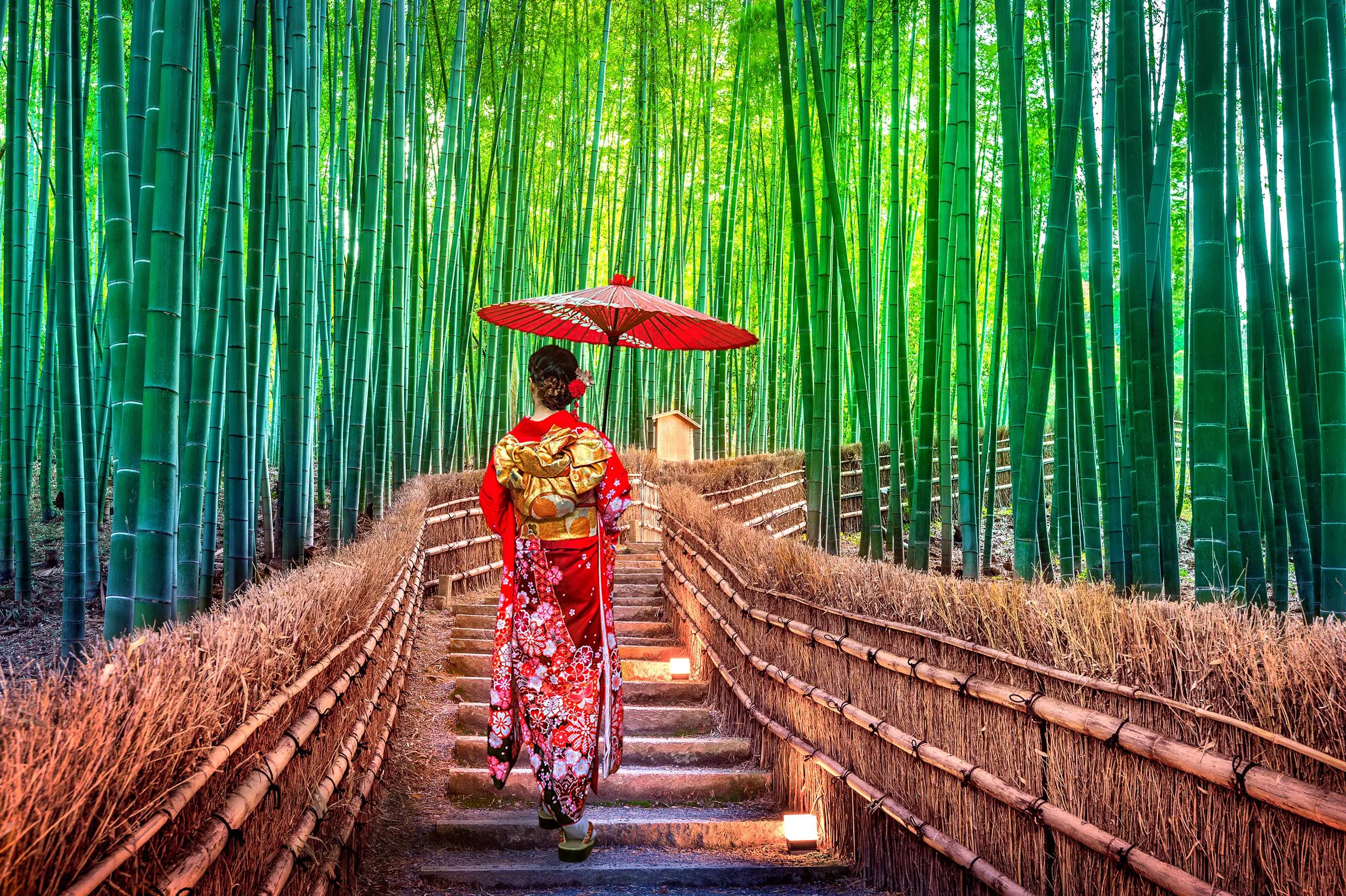 t-as-japan-kyoto-arashiyama-bamboo-grove-asian-woman-111406389-dt