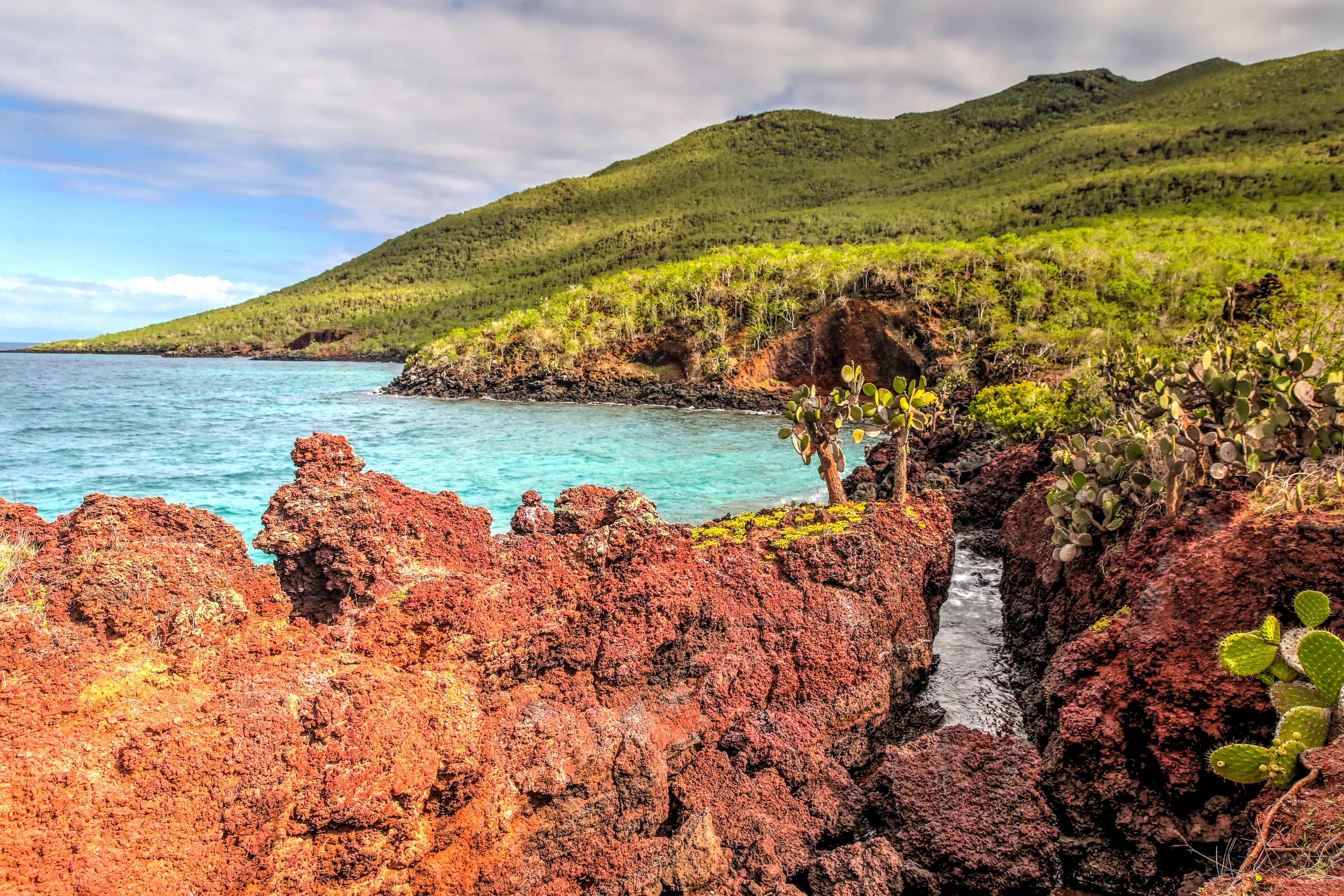 The dramatic red rock shores and flora of Rabida Island in the Galapagos