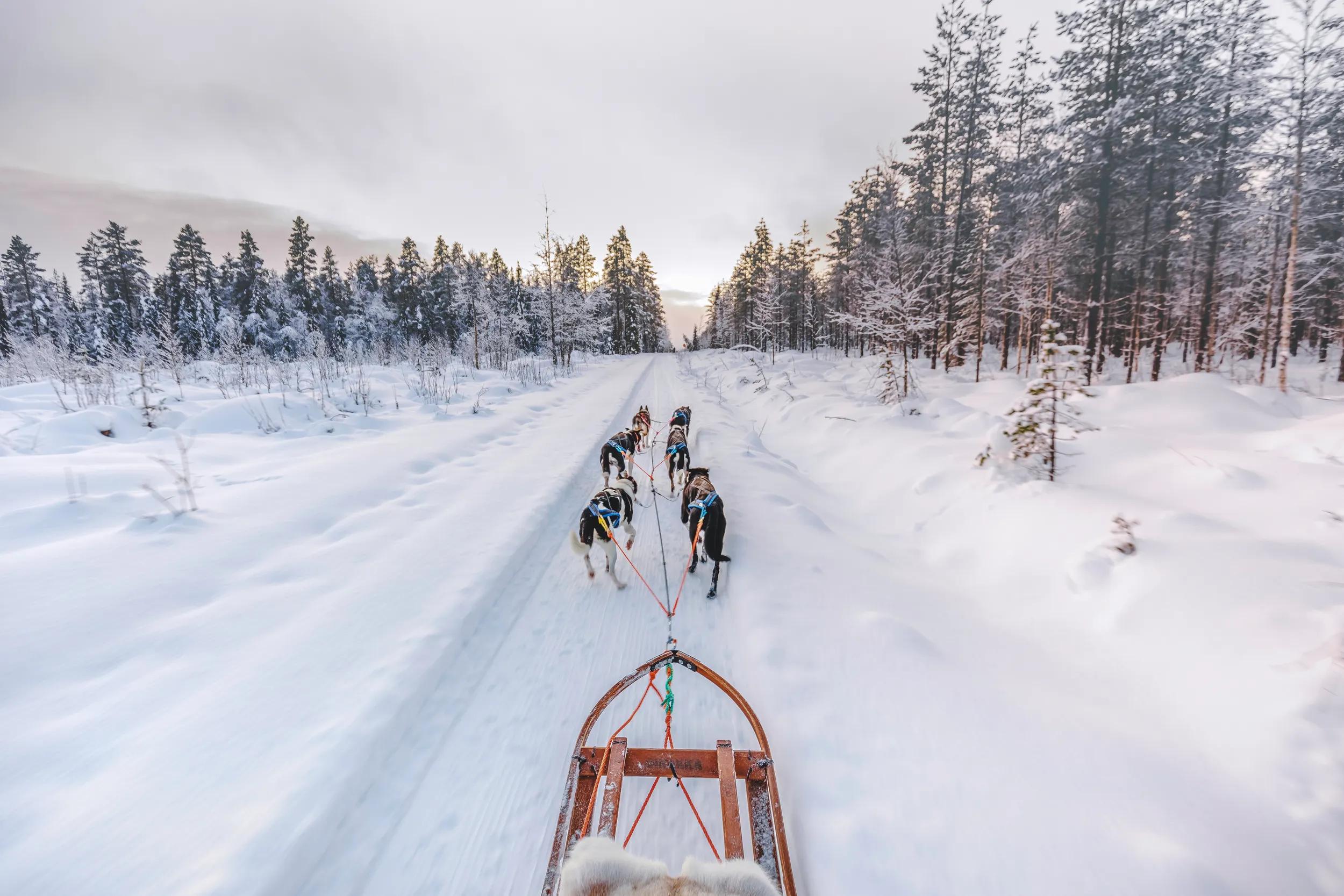 a-eu-finland-lapland-dog-sledding-1277586787-g-rf