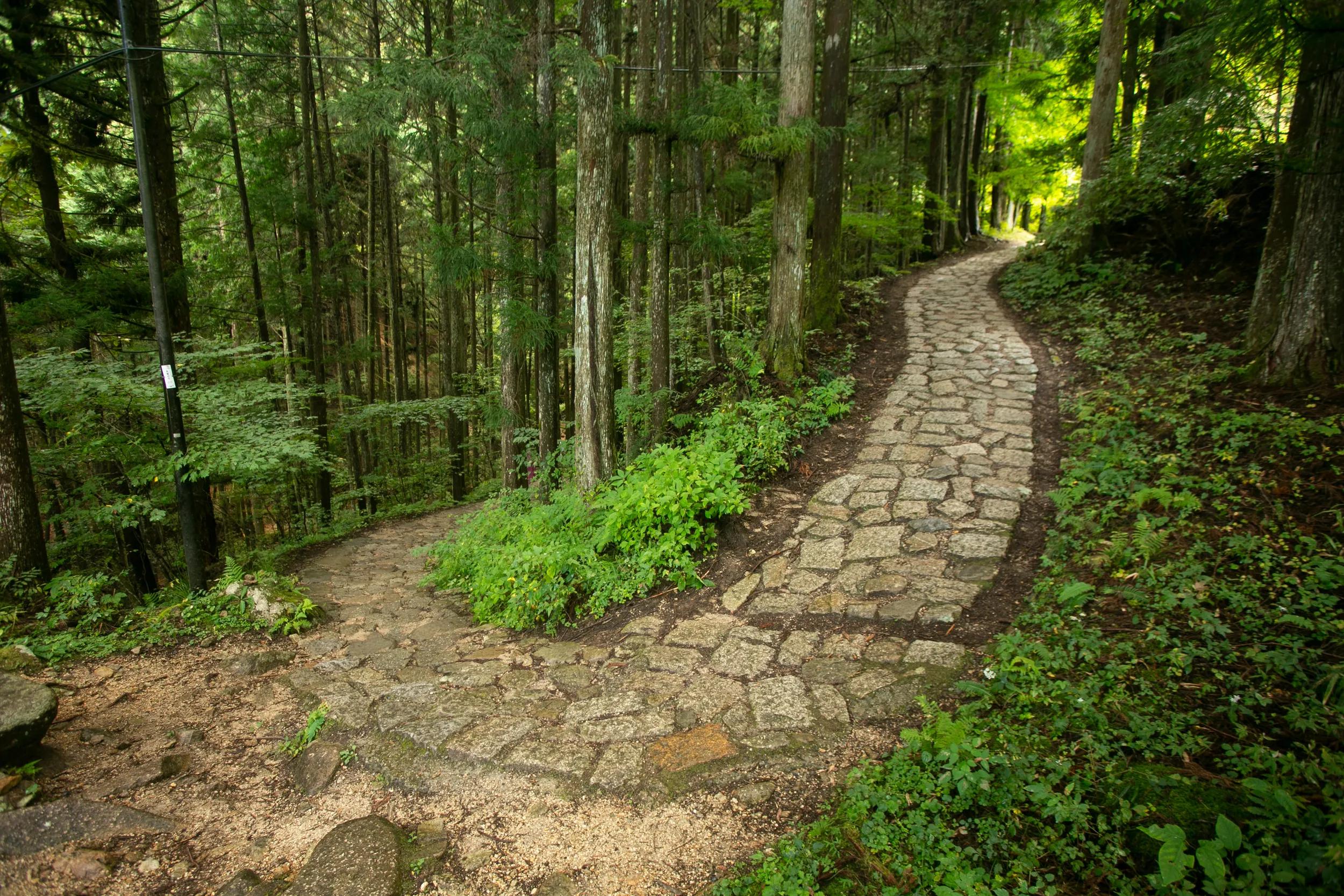 Walking the cobblestone road following the Nakasendo trail between Tsumago and Magome in Kiso Valley, Japan.