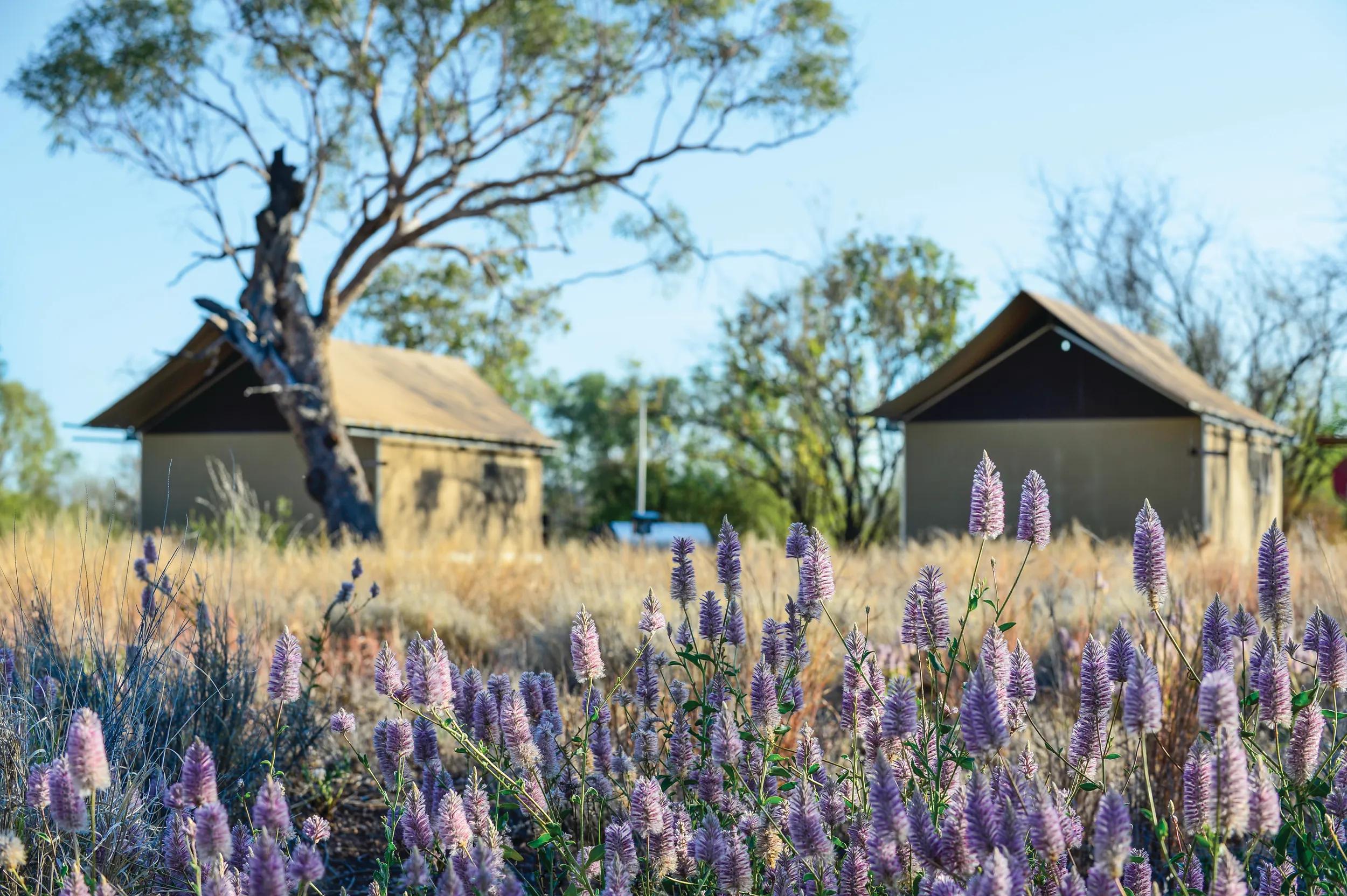 PLEASE NOTE: Only for use in conjunction with Bungle Bungle Wilderness Lodge.