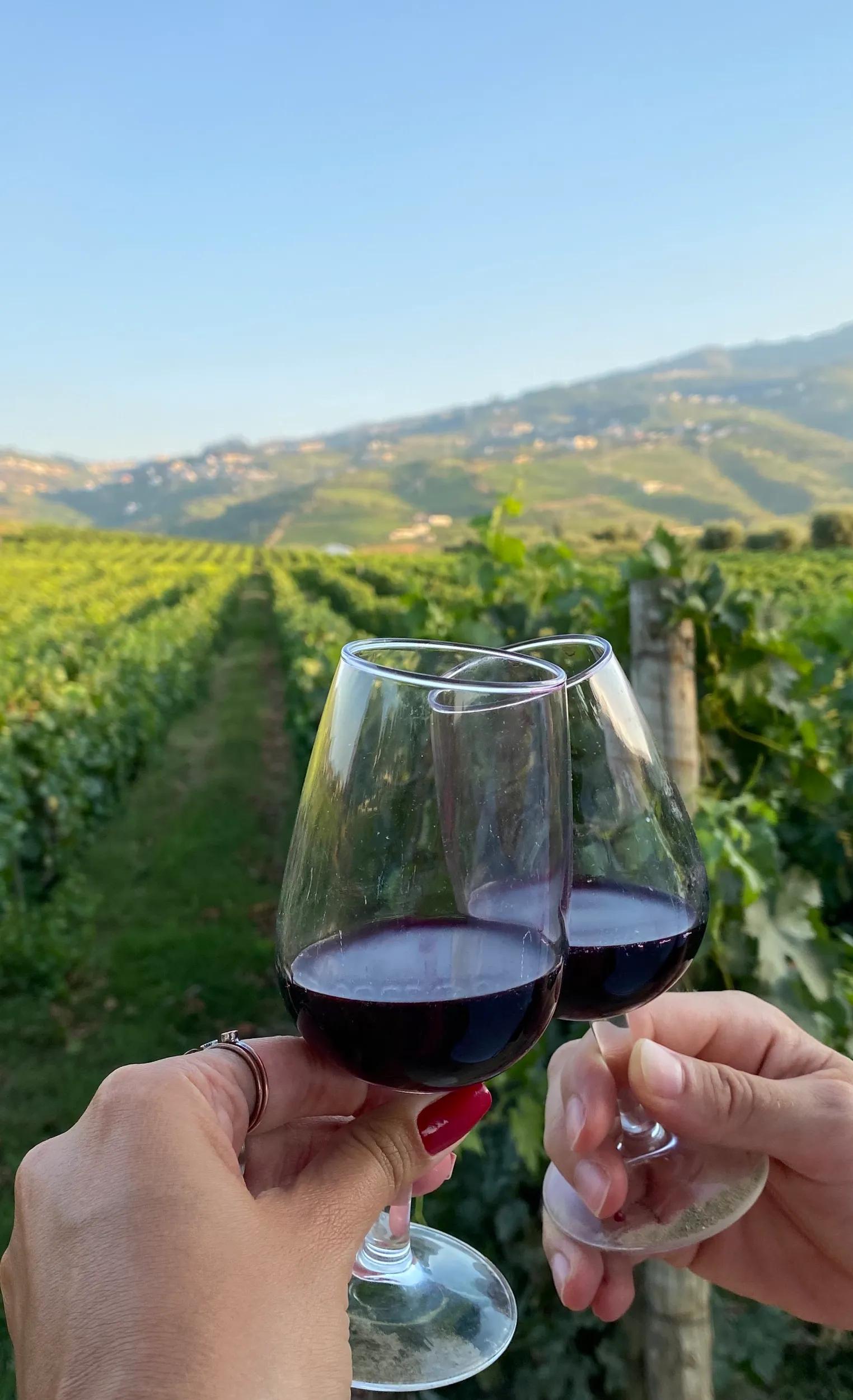 a-eu-portugal-regua-generic-red-wine-tasting-1272400538-g-rf