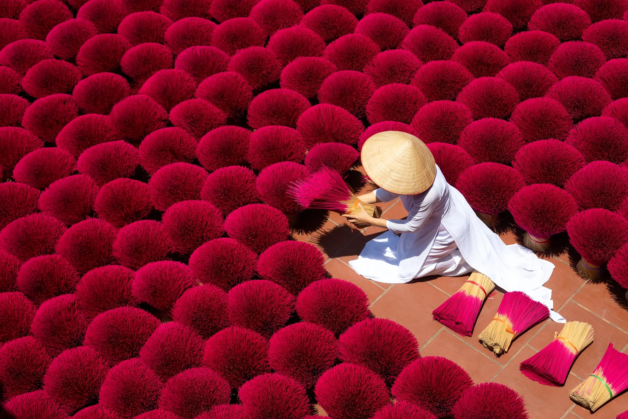 Vietnam's incense village prepares for New Year celebrations, Incense sticks drying outdoor with Vietnamese woman wearing conical hat in Hanoi, Vietnam