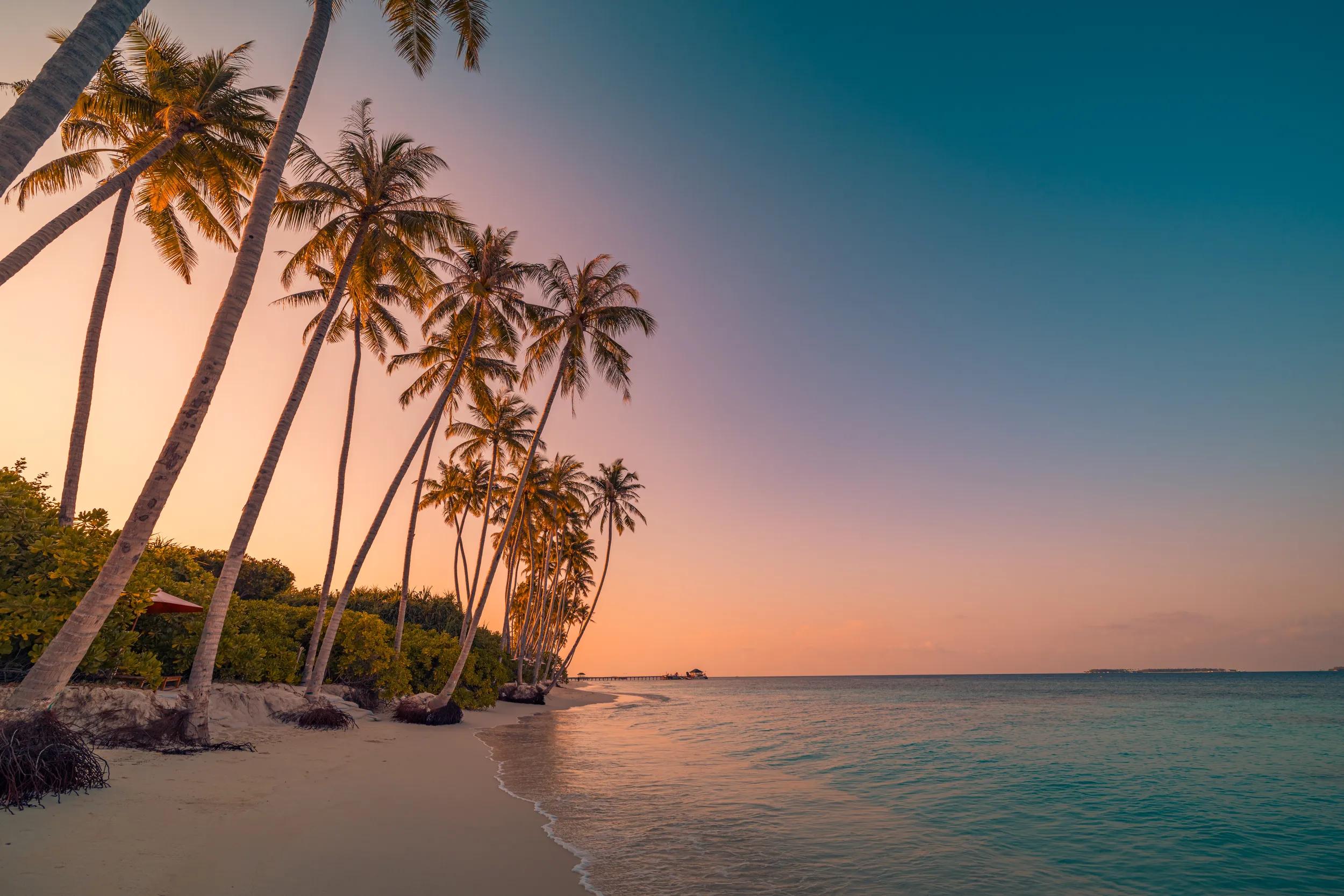 Beautiful tropical beach banner. White sand and coco palms travel tourism wide panorama concept. Amazing sunrise beach landscape, sky sunset clouds, relax nature tranquility, inspirational shore coast