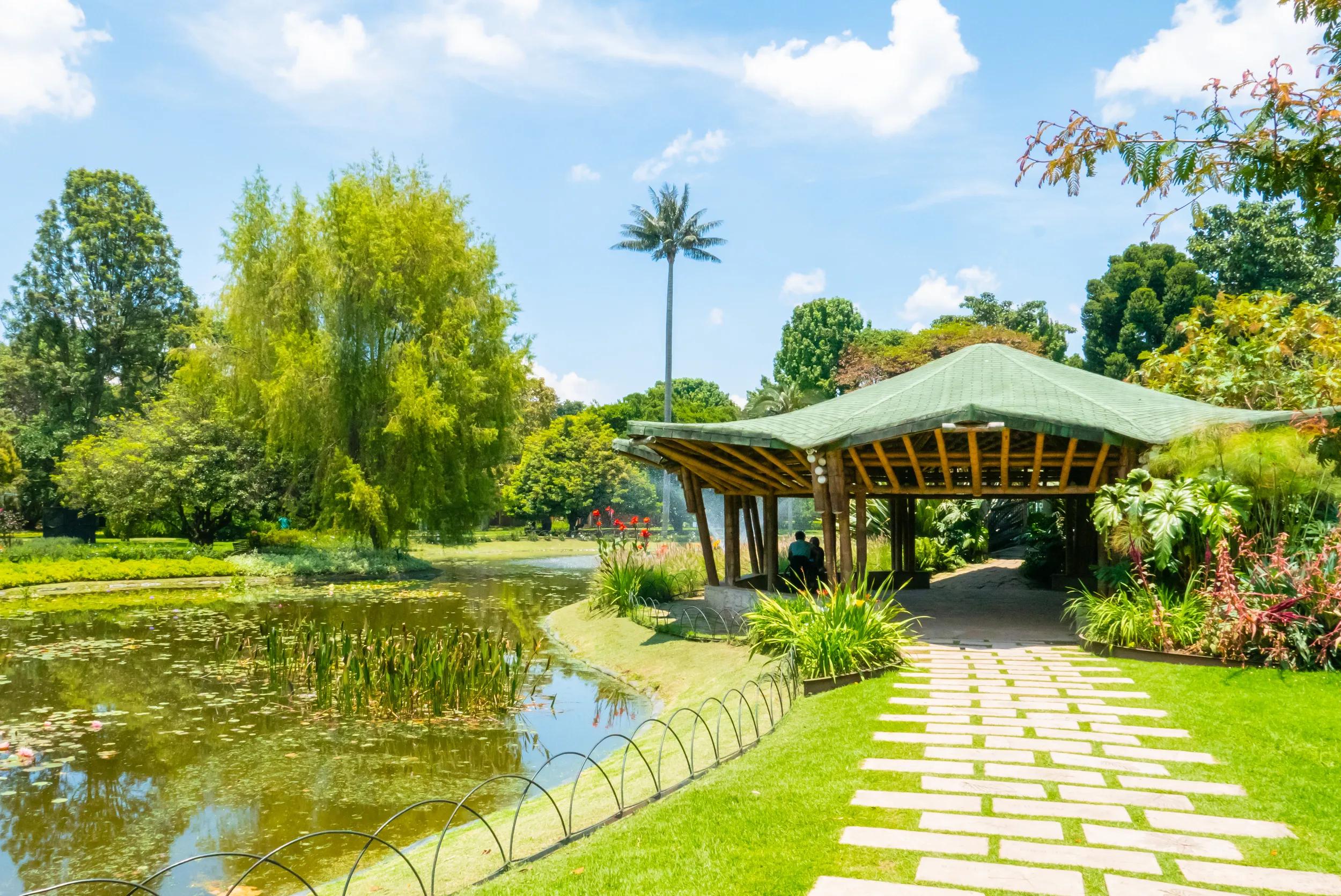 Bogota pond gazebo and tropical plants Colombia