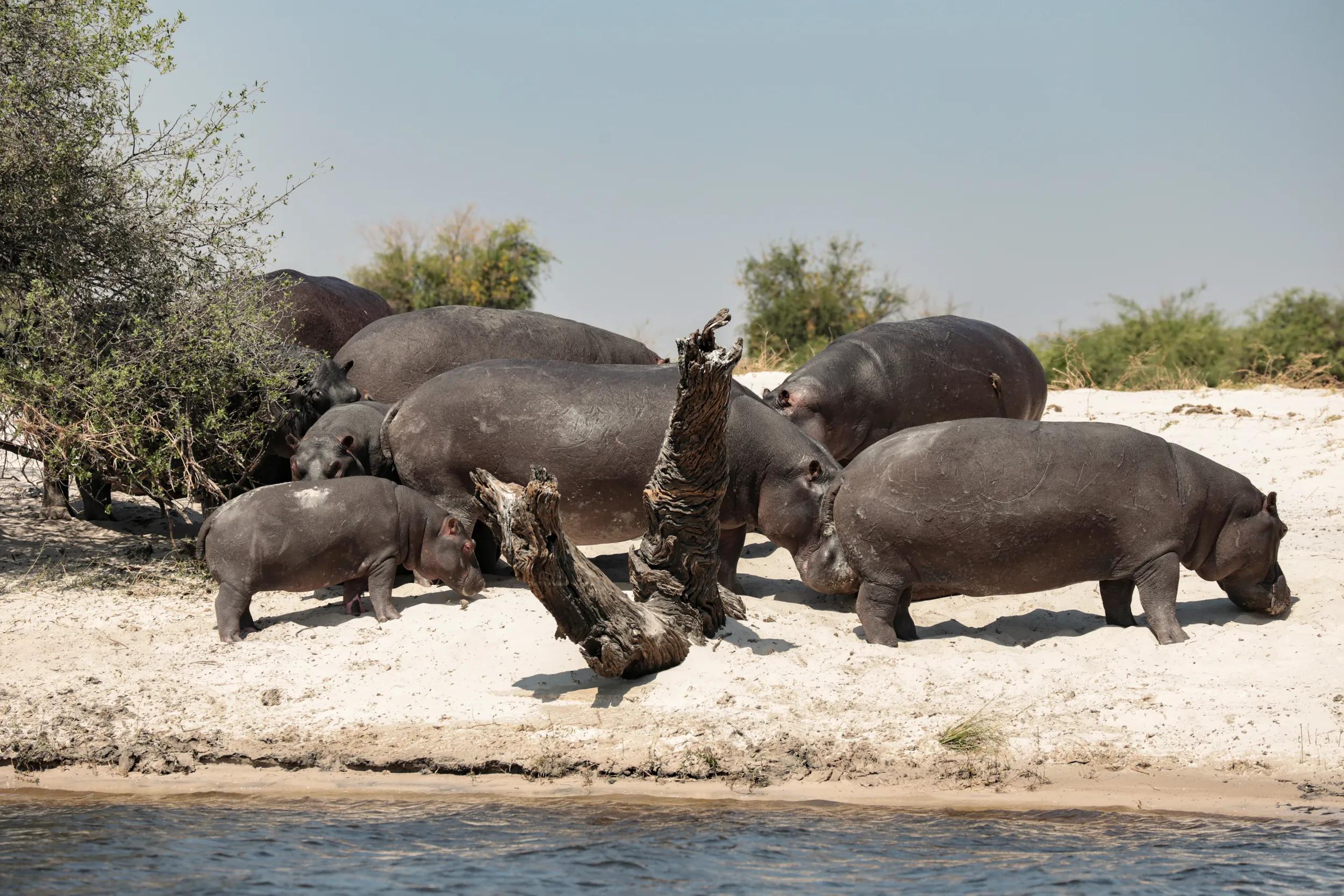 Image provided by guest Wayne Gill for APT digital social and marketing platforms only.