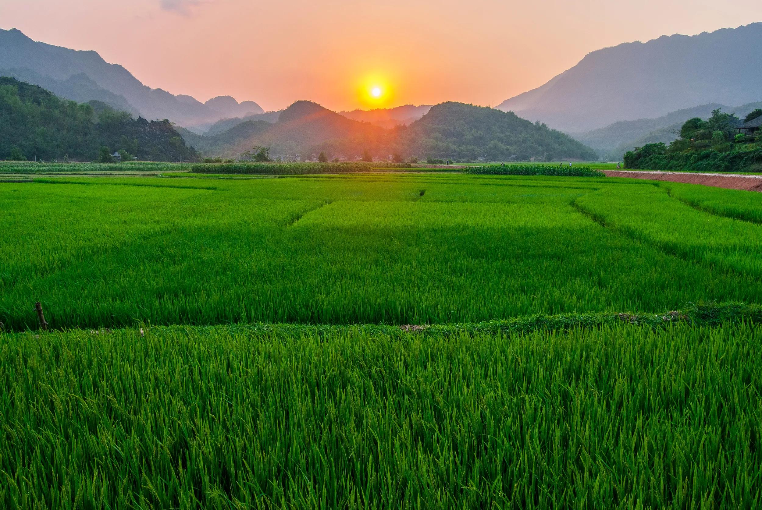 a-as-vietnam-mai-chau-ricefields-1480991282-s