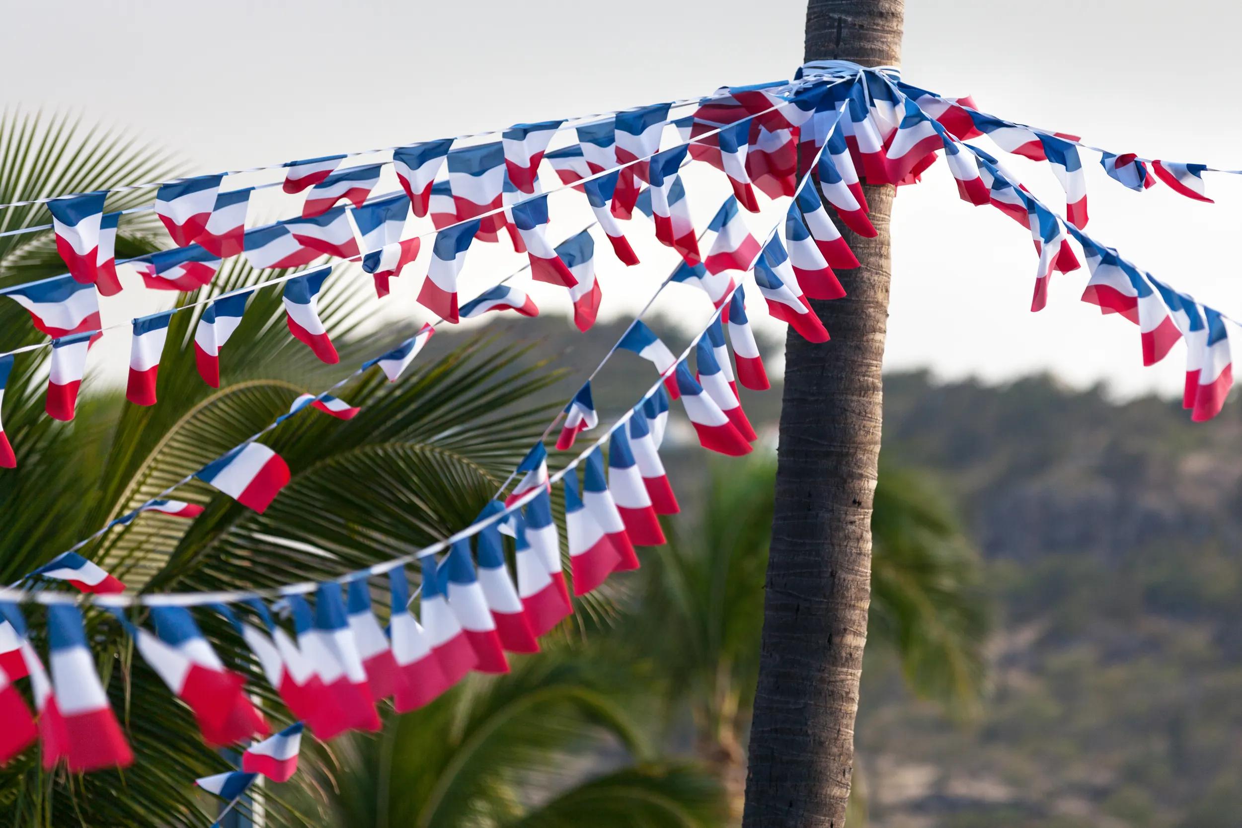 Garland of french flags hanging from a central palm tree to every direction during fourteenth of July, for the