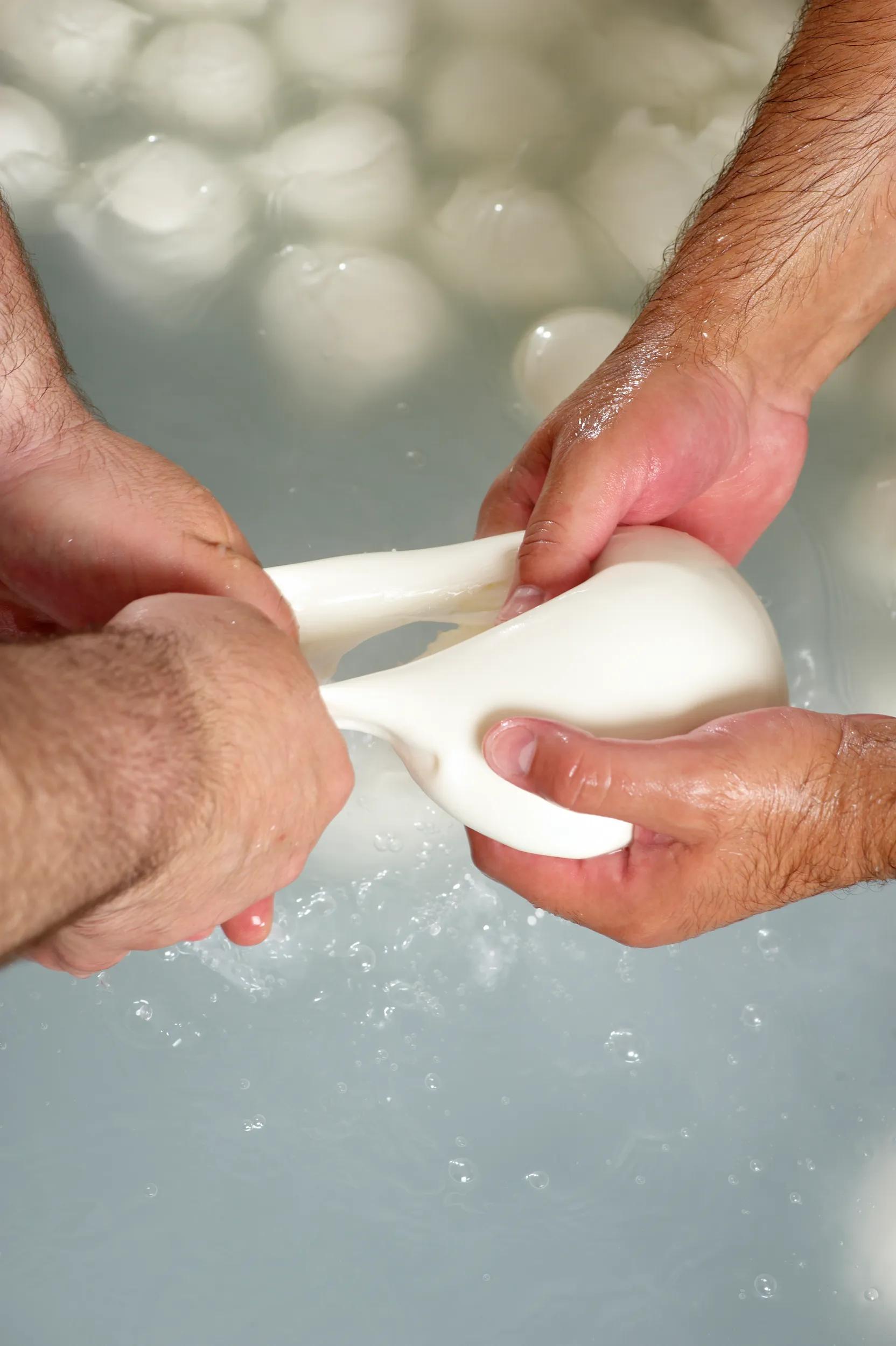 a-generic-making-mozzarella-cheese-155157900-g-rf