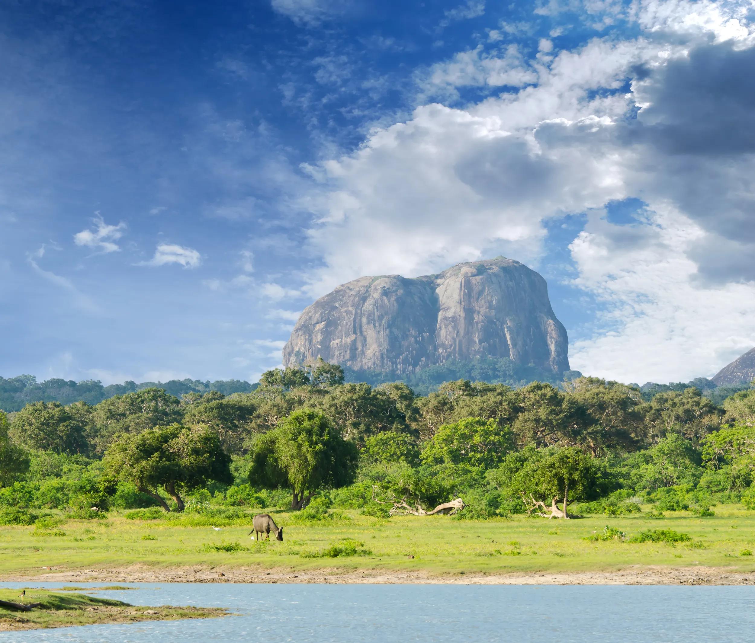 mountain in the shape of an elephant figure in the Yala National Park (Sri Lanka)