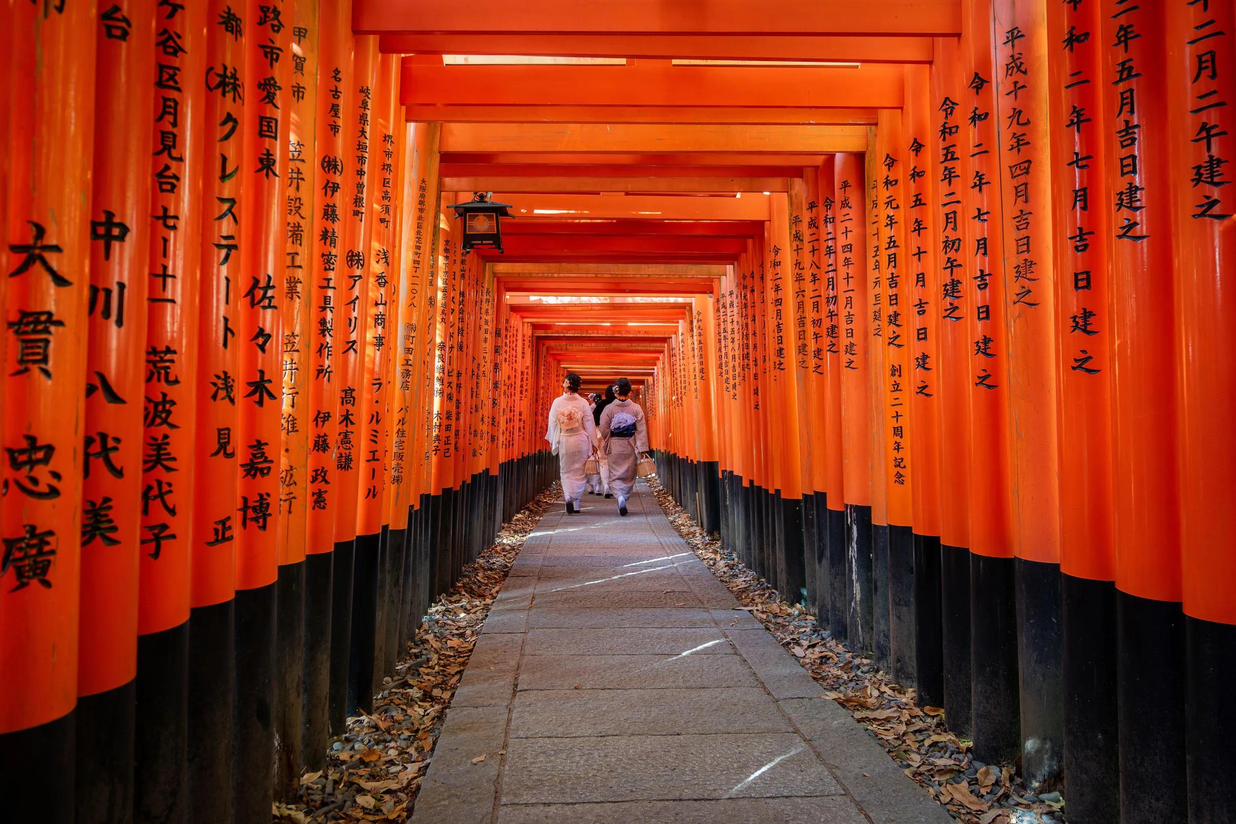 t-as-japan-kyoto-fushimi-inari-shrine-2wedt3k-a
