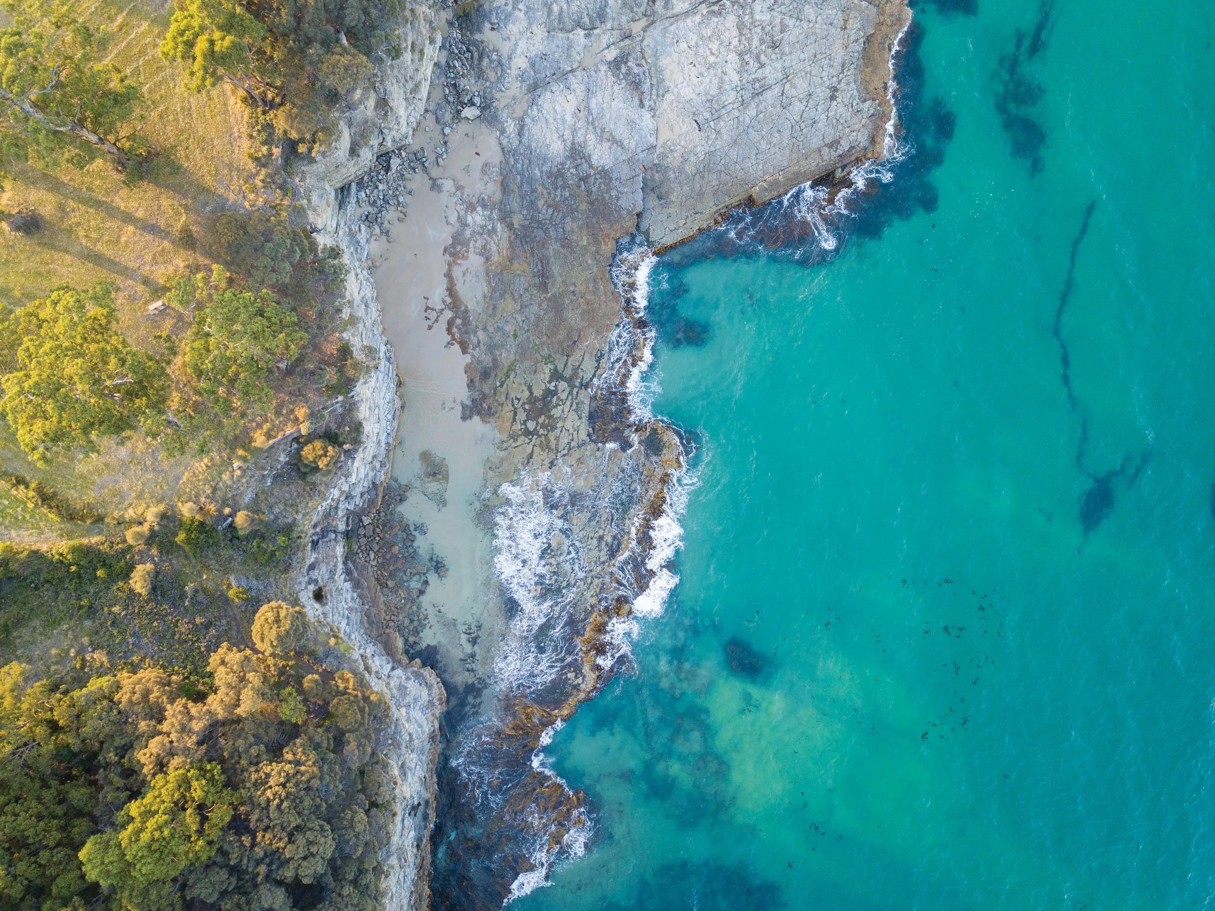 Aerial shot of trees & the ocean at sunset on Bruny Island, Tasmania