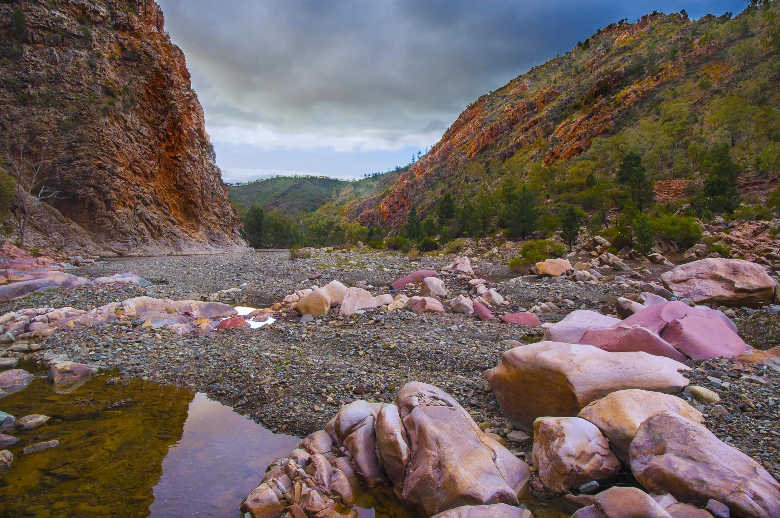Parachilna Gorge, Flinders Ranges in South Australia.