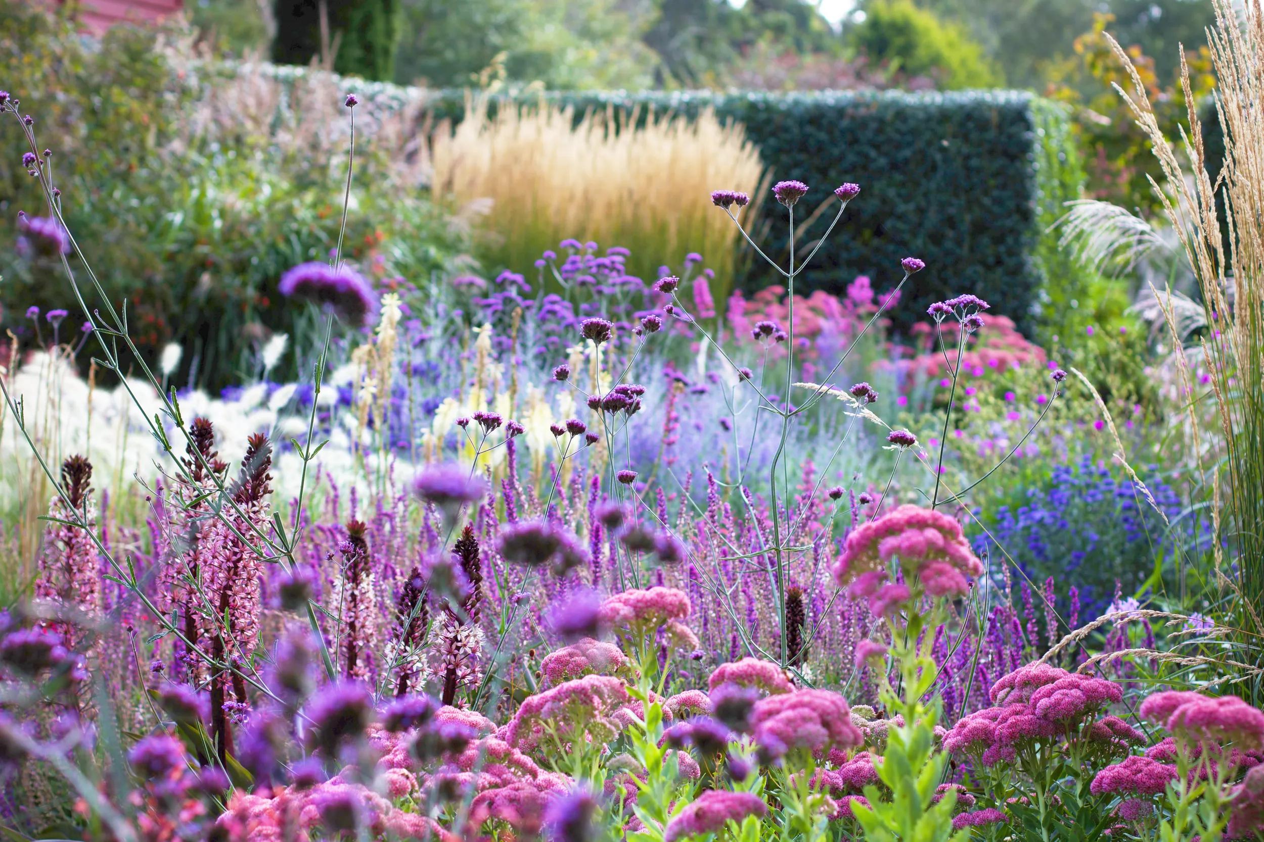 *** For Botanica use only ***