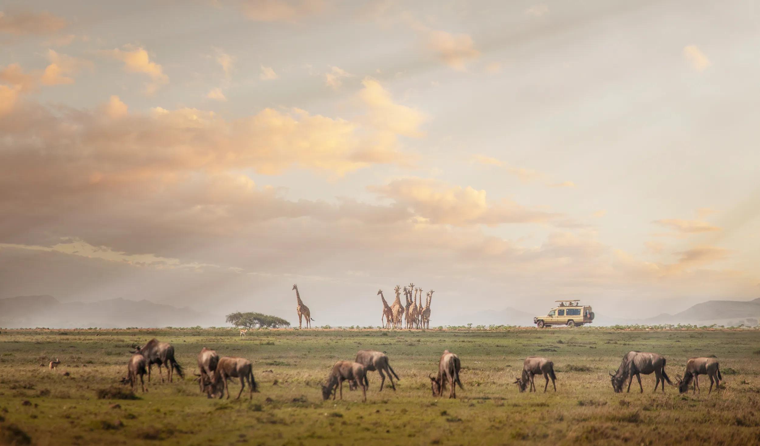 Africa. Kenia. Masai Mara National Park.