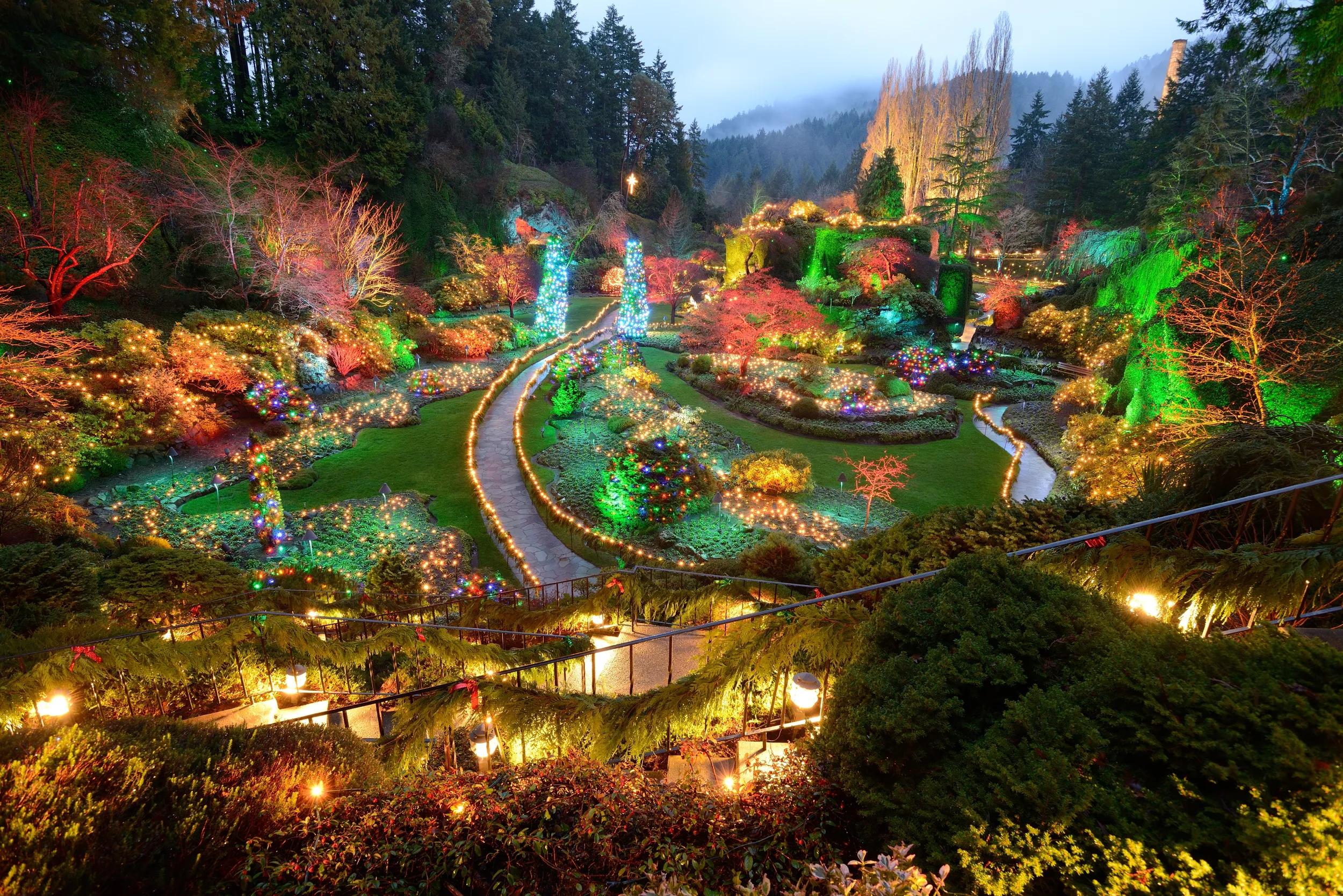 Beautiful garden night scene in Christmas in butchart gardens, victoria, british columbia, canada